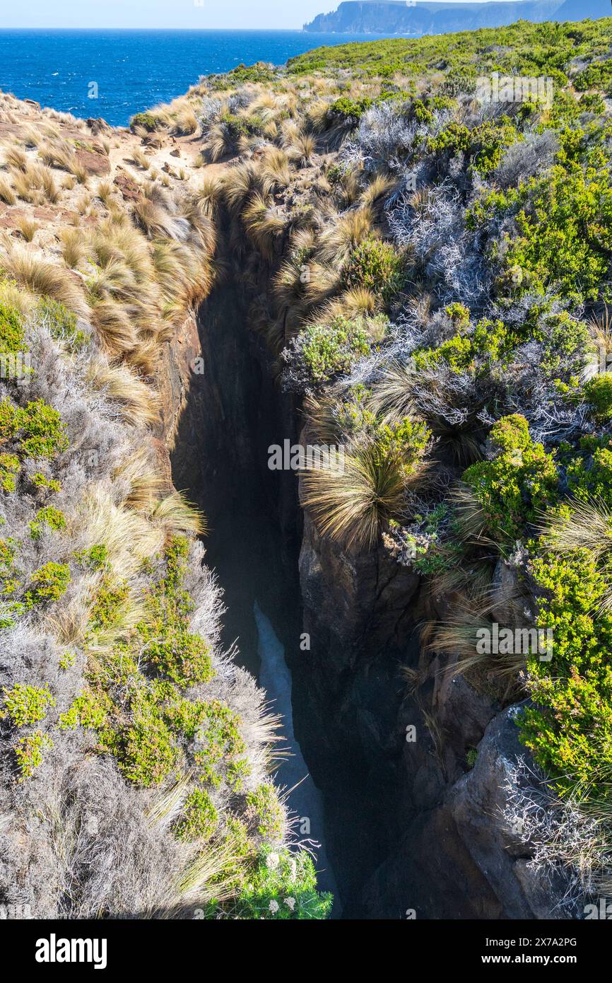 Maingon Blowhole auf dem Three Capes Track, Maingon Bay, Tasman Peninsula, Tasmanien Stockfoto
