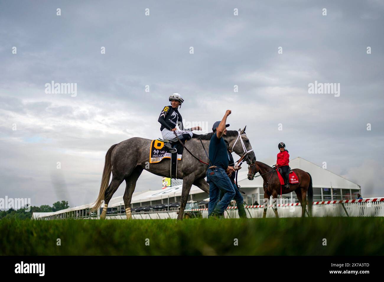 Baltimore, Usa. Mai 2024. Jockey Jaime Torres und Seize the Day feiern im Infield, nachdem sie am Samstag, den 18. Mai 2024, den 149. Preakness Stakes auf dem Pimlico Race Course in Baltimore, Maryland gewonnen haben. Foto: Bonnie Cash/UPI Credit: UPI/Alamy Live News Stockfoto