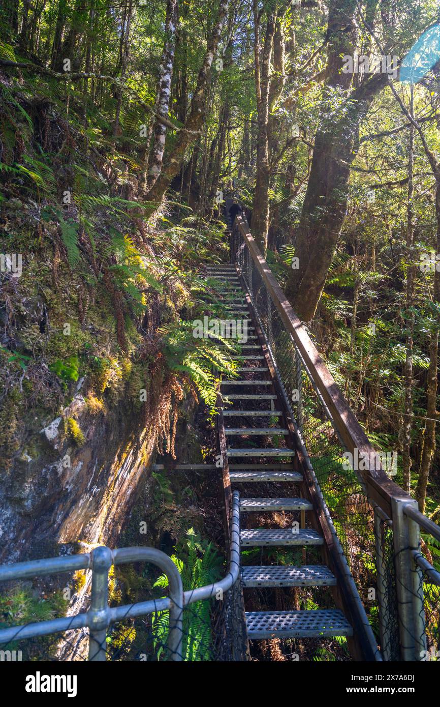 Eine Treppe führt zu den Philosopher Falls, Waratah, Tasmanien Stockfoto