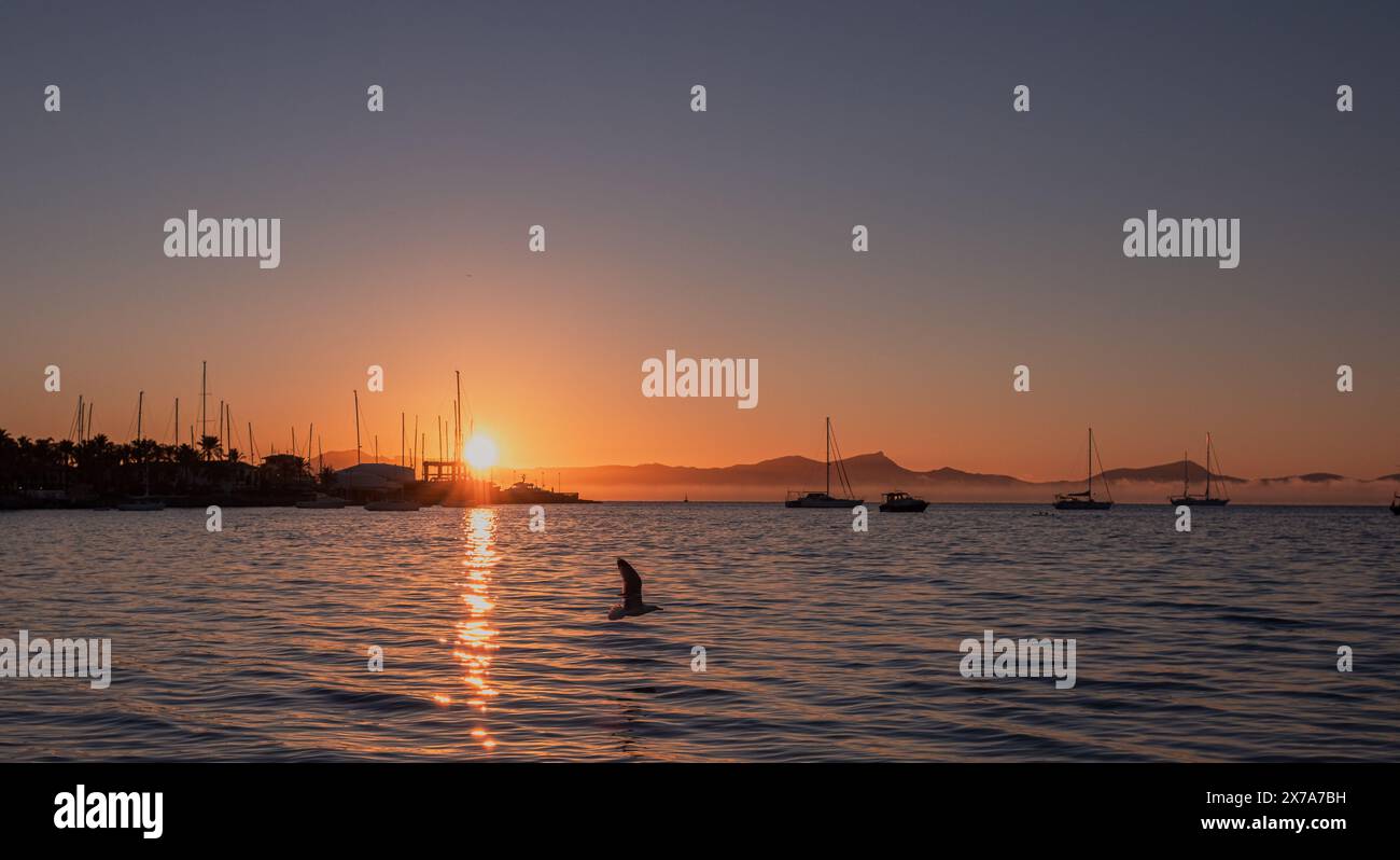 Seehafen bei Sonnenaufgang. Der Himmel, der von der aufgehenden Sonne goldfarben gestrichen wurde, spiegelt sich in den ruhigen Wellen des Meeres. Die Yachten zeichnen sich durch eine wunderschöne Silhouette aus Stockfoto