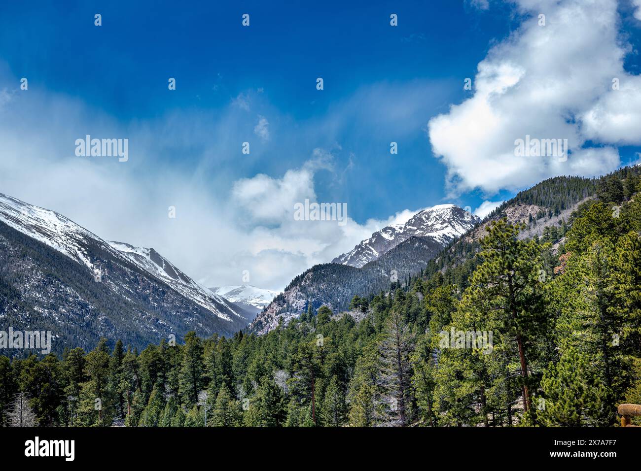 Rocky Mountain National Park in der Nähe von Estes Park Colorado Mountains - Berglandschaft - Schnee auf einem Berggipfel Stockfoto