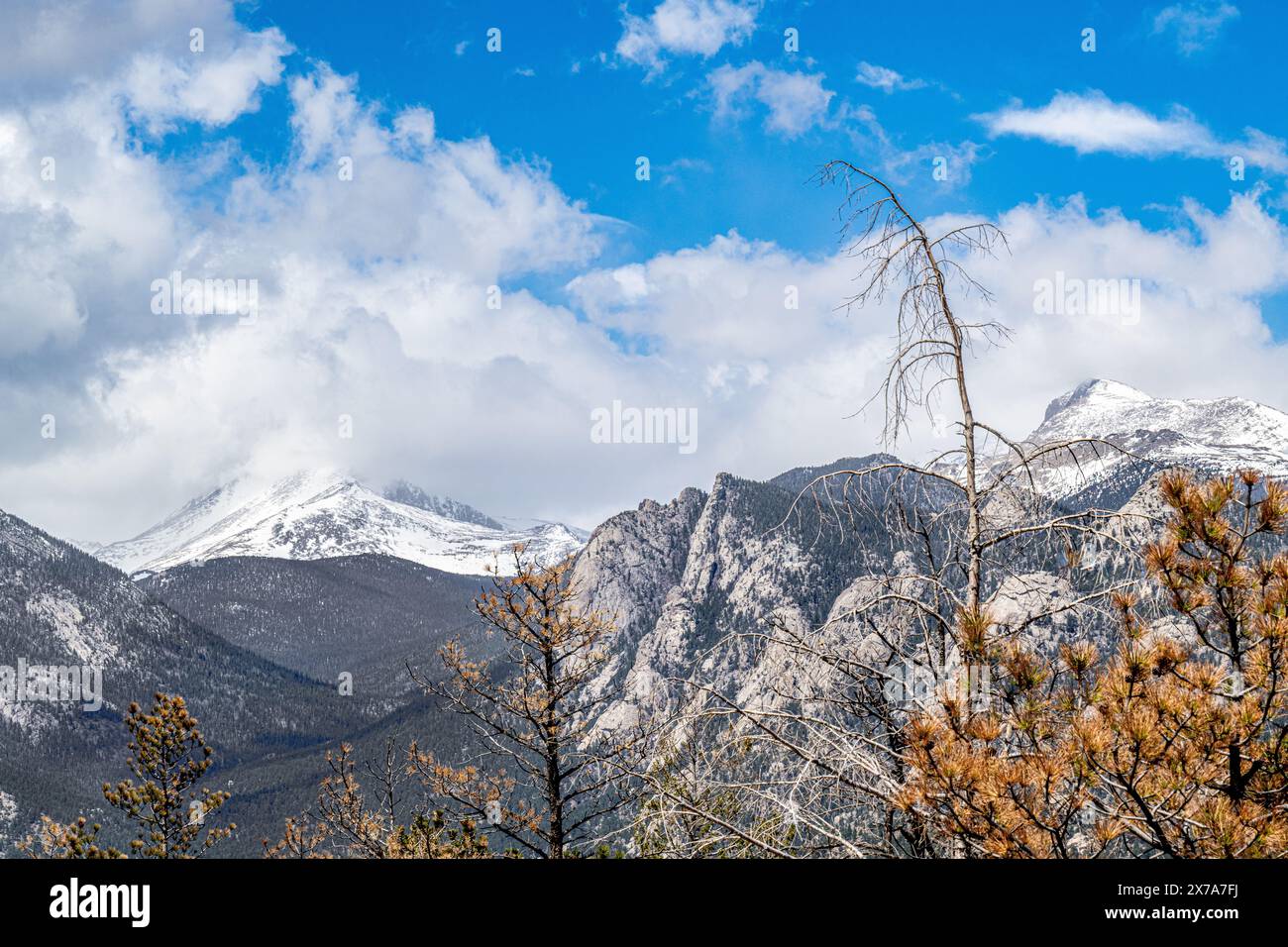 Rocky Mountain National Park in der Nähe des Estes Park Colorado Mountains - Berglandschaft Stockfoto