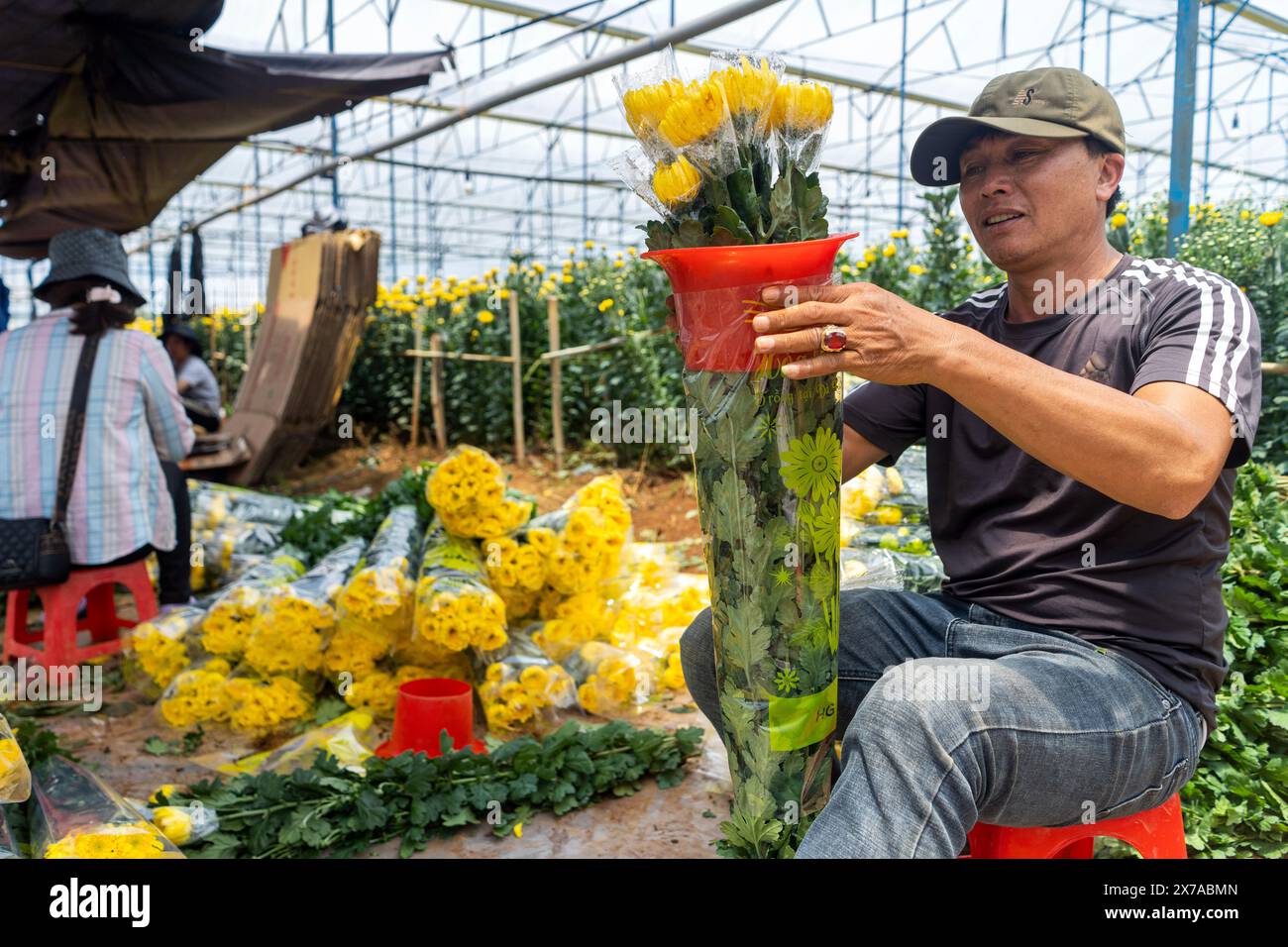 Blumenfarm in Dalat, Zentralvietnam, Stockfoto