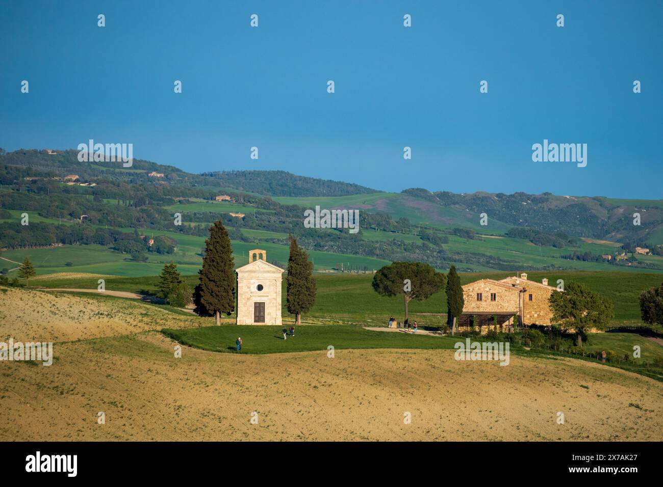 Die Kapelle Vitaleta im Val d'Orcia in der ländlichen Toskana in Italien an einem sonnigen Tag mit blauem Himmel in der Nähe von Pienza, mit sanften grünen Hügeln im Hintergrund. Stockfoto