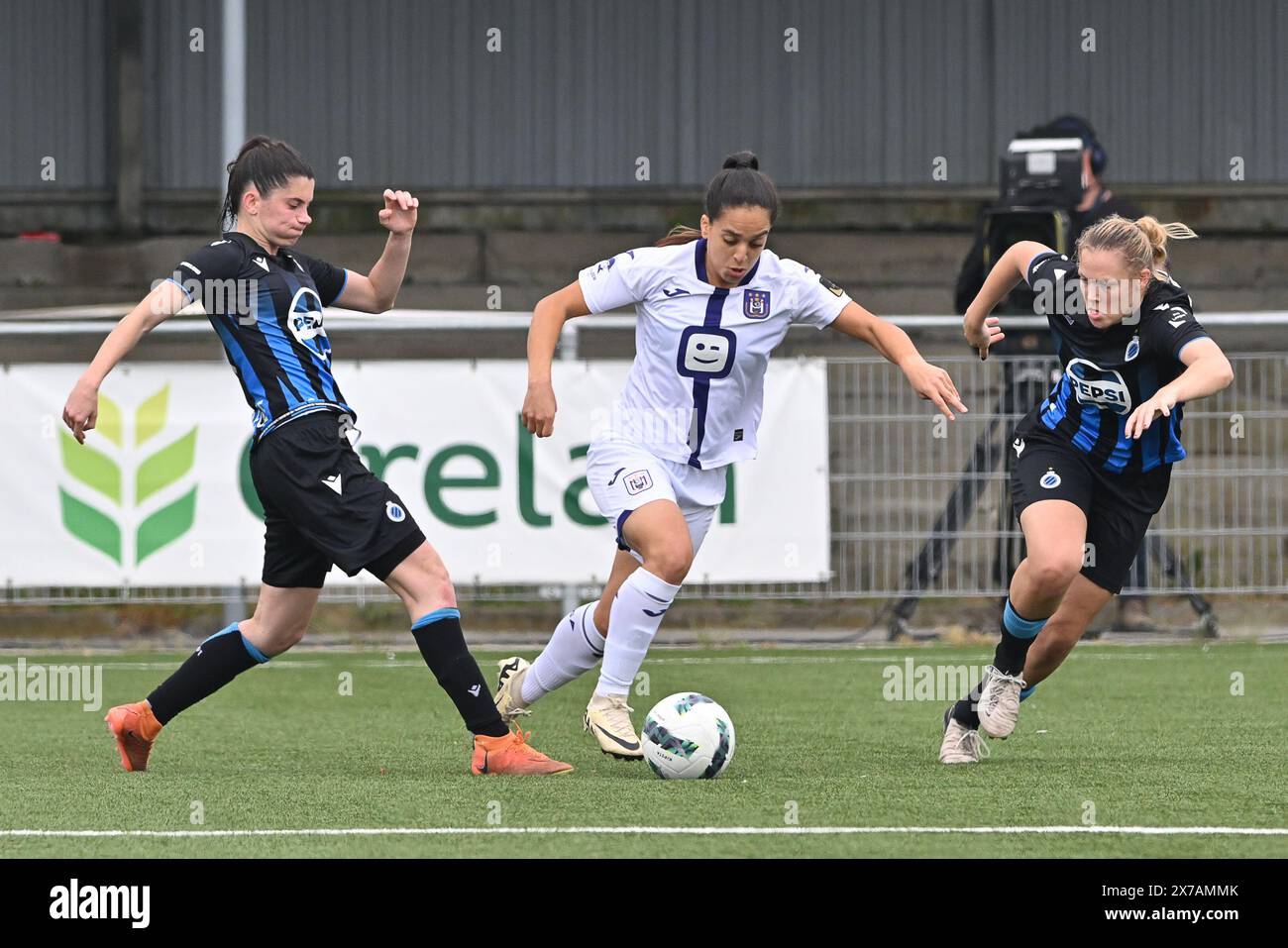 Aalter, Belgien. Mai 2024. Stefania Vatafu (10) von Anderlecht mit Febe Vanhaecke (3) vom Club YLA und Caitlin Lievens (21) vom Club YLA, die während eines Frauenfußballspiels zwischen Club Brugge Dames YLA und RSC Anderlecht am 9. Spieltag in Play-off 1 der Saison 2023 - 2024 des belgischen Lottos gezeigt wurden Damen Super League am Samstag, 18. Mai 2024 in Aalter, BELGIEN. Quelle: Sportpix/Alamy Live News Stockfoto