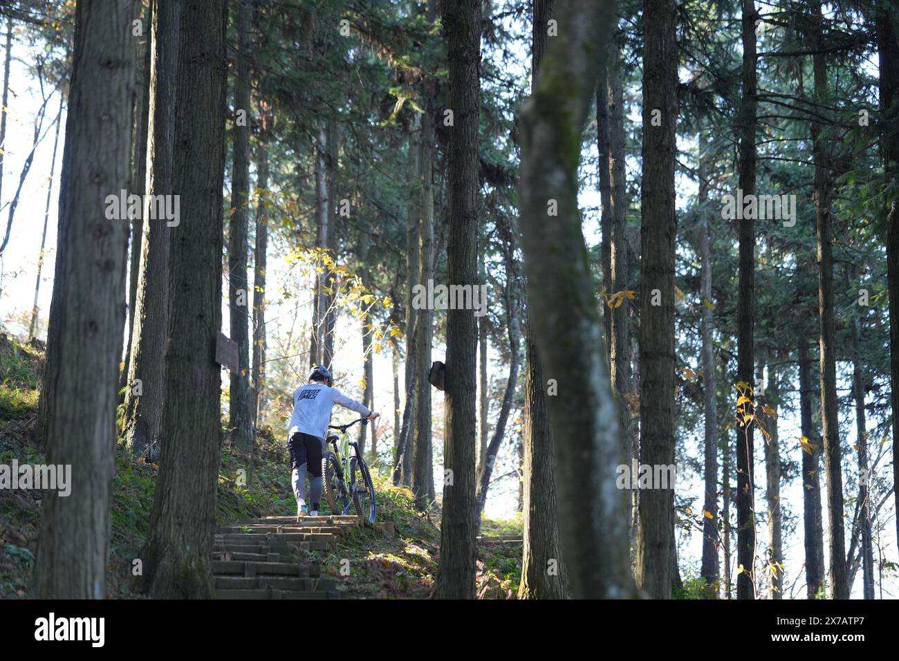 (240519) -- CHANGSHA, 19. Mai 2024 (Xinhua) -- YE Zhengwu bereitet sich auf die Teilnahme an einer Ausbildung auf einer Waldfarm in Zhangjiajie, der zentralchinesischen Provinz Hunan, am 28. November 2023 vor. Zhangjiajie, im Nordwesten der Provinz Hunan gelegen, ist eines der Weltnaturerbestätten in China. Die atemberaubende Naturlandschaft zieht Touristen weltweit an und zieht Extremsportler an, um ihr Können unter Beweis zu stellen. YE Zhengwu, ein 25-jähriger Mountainbiker, wurde in Zhangjiajie geboren und aufgewachsen. Schon in jungen Jahren entwickelte er eine Leidenschaft für Radfahren. 2015, während seines Studiums an der Universität, begann er mit dem Enc Stockfoto