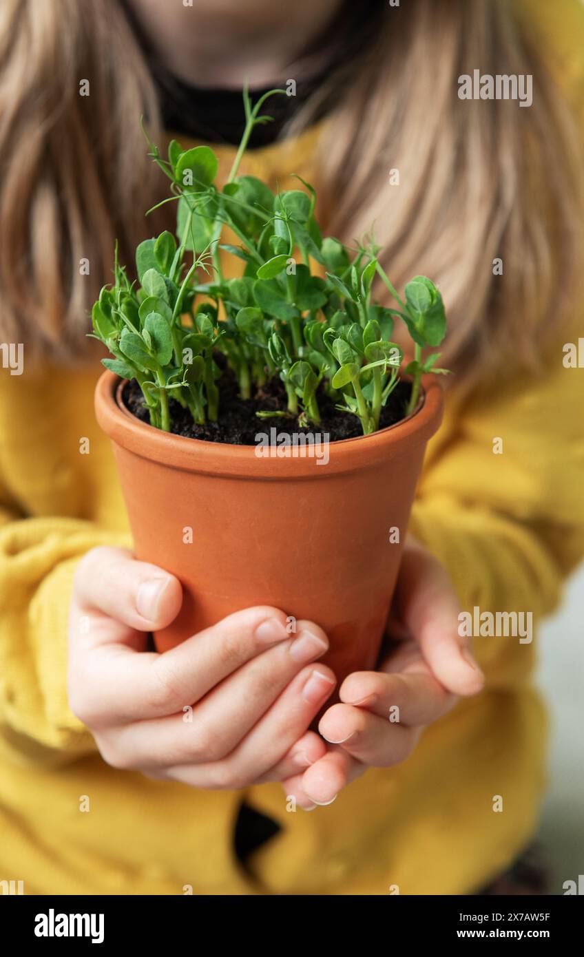 Ein Kind in einem leuchtend gelben Pullover hält zart einen Terrakotta-Topf mit einer grünen Pflanze. Sie sieht die Pflanze mit einem sanften Lächeln und einem Stockfoto