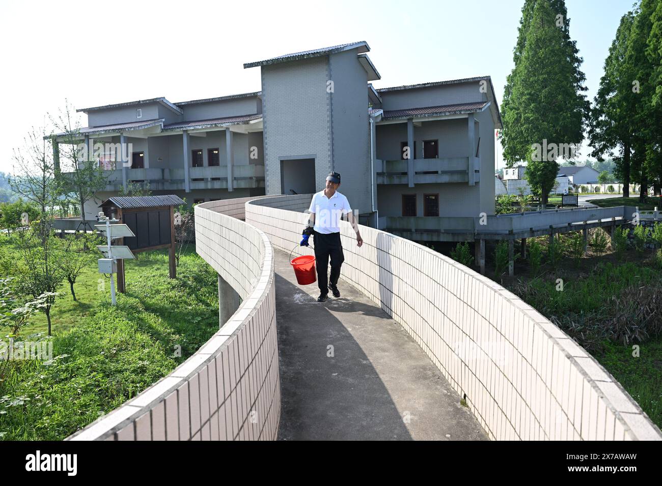 (240519) – HEFEI, 19. Mai 2024 (Xinhua) – Zhang Bajin geht in Richtung Flussufer, um Jangtse-Tümmler in einer Schutzbasis für die Umsiedlung von Jangtse-Tümmlern im Tongling River Delfin National Nature Reserve in Tongling, ostchinesischer Provinz Anhui, 10. Mai 2024 zu füttern. Der als „Riesenpanda des Wassers“ bekannte Jangtse-Schweinswal, der in China unter staatlichem Schutz steht, ist ein wichtiger Indikator für die Gesundheit der Ökologie des Yangtse-Flusses. Diese Art kommt nur in den mittleren und unteren Hauptbächen des Jangtse vor. Zhang Bajin, 62, ein Ex-Crewmann Stockfoto