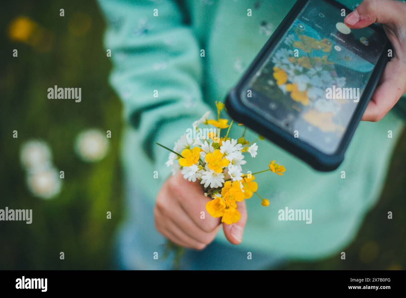 Ein Mädchen, das Fotos von einer Nasenspitze gepflückter Blumen macht, mit ihrem Handy Stockfoto