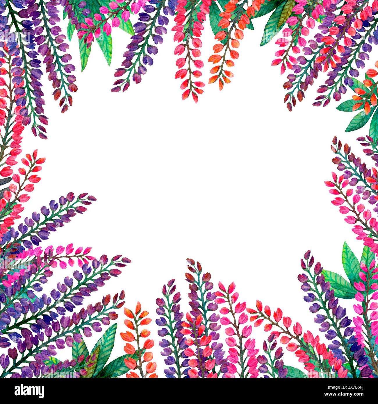 Ein quadratischer Rahmen mit Aquarellblumen und Blättern vor weißem Hintergrund Stockfoto