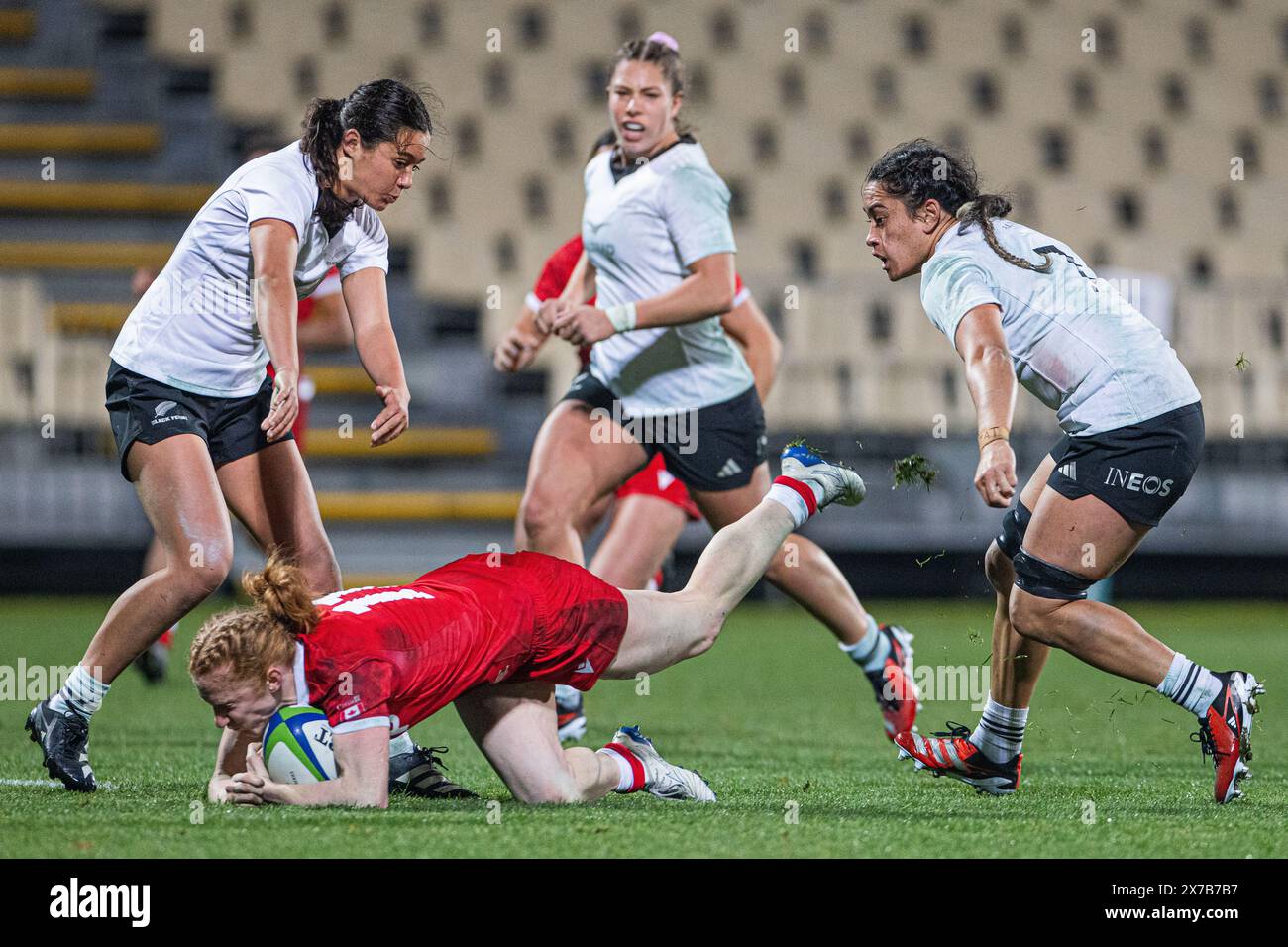 Christchurch, Neuseeland, 19. Mai 2024. Paige Farries aus Kanada versucht, die Try-Linie während des Zusammenpralls der Pacific Four Series 2024 zwischen den Black Ferns und Kanada im Apollo Projects Stadium von Christchurch zu erreichen. Quelle: James Foy/Alamy Live News Stockfoto Christchurch, Neuseeland, 19. Mai 2024. Paige Farries aus Kanada versucht, die Try-Linie während des Zusammenpralls der Pacific Four Series 2024 zwischen den Black Ferns und Kanada im Apollo Projects Stadium von Christchurch zu erreichen. Quelle: James Foy/Alamy Live News Stockfoto