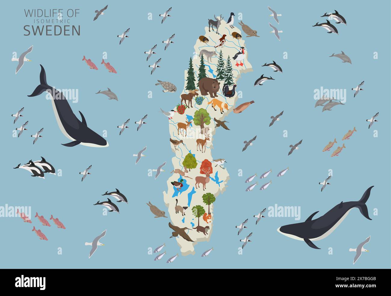 Schweden isometrische Geographie der Tierwelt. Tiere, Vögel und Pflanzen, die auf weißem Set isoliert sind. Schwedische Natur-Infografik. Vektorillustra Stock Vektor