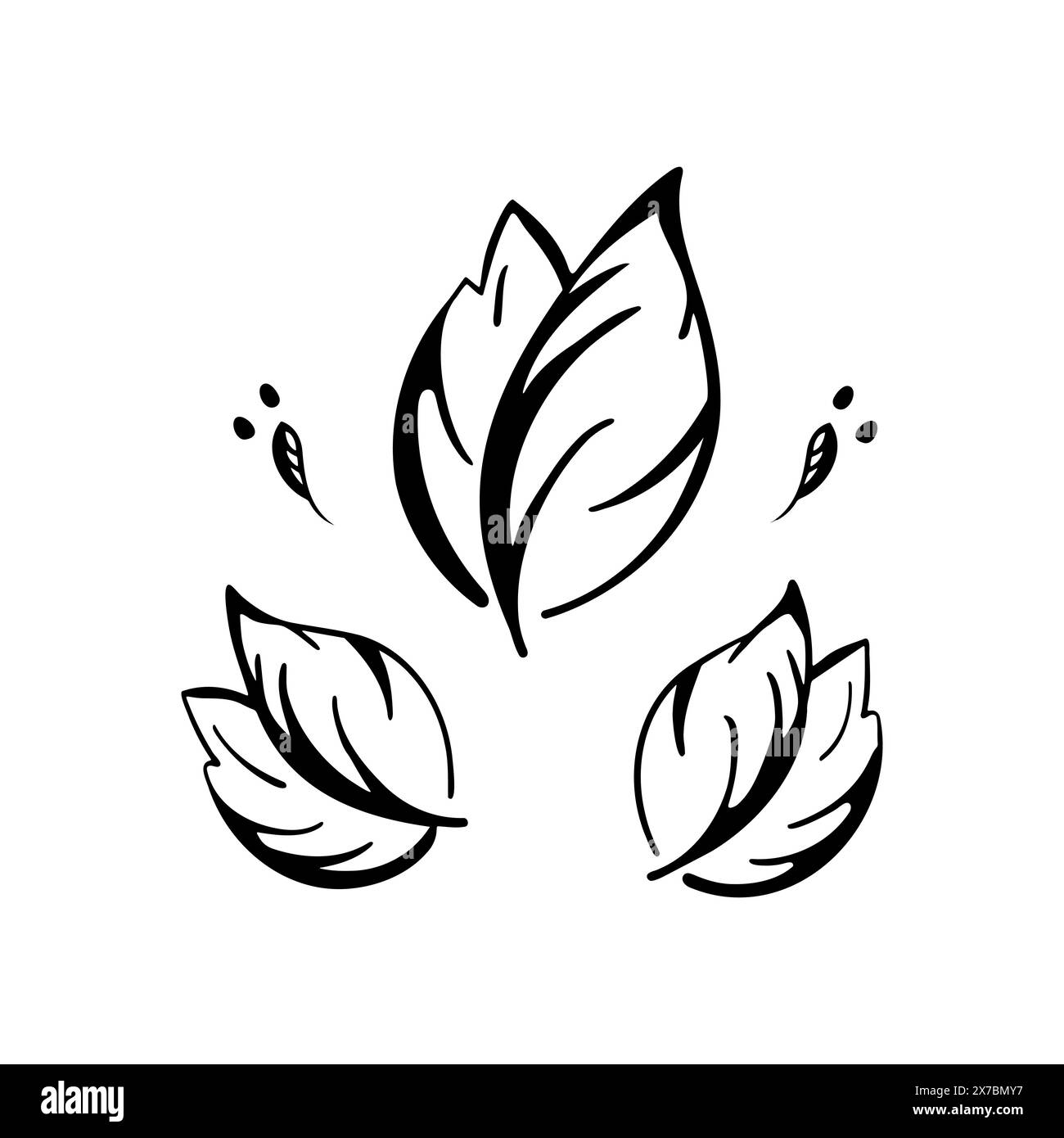 Doodle Leaves, stilisierte Zeichenblätter setzen Kontur, isoliert auf weißem Hintergrund. Vektorabbildung Stock Vektor