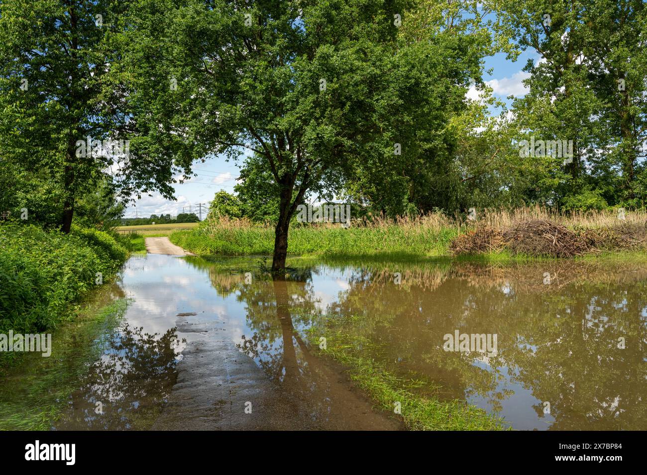 Überflutetes Grünland bei Rastatt in Baden-Württemberg, Deutschland, Europa Stockfoto