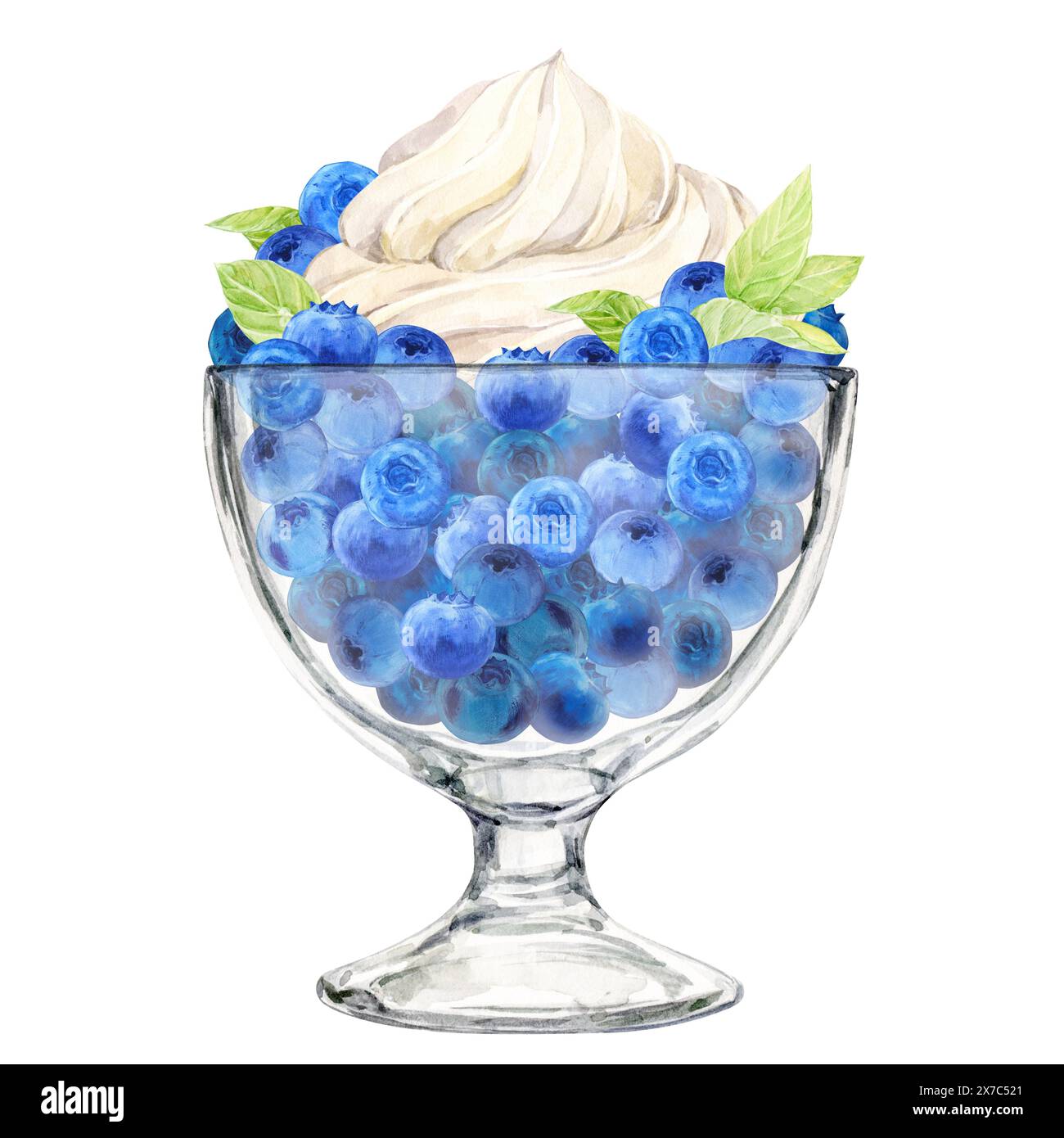 Reife Heidelbeeren in einem Dessertglas und eine schöne Schlagsahne darauf. Aquarellabbildung. Erfrischendes Sommerdessert, gefrorener Joghurt und Be Stockfoto
