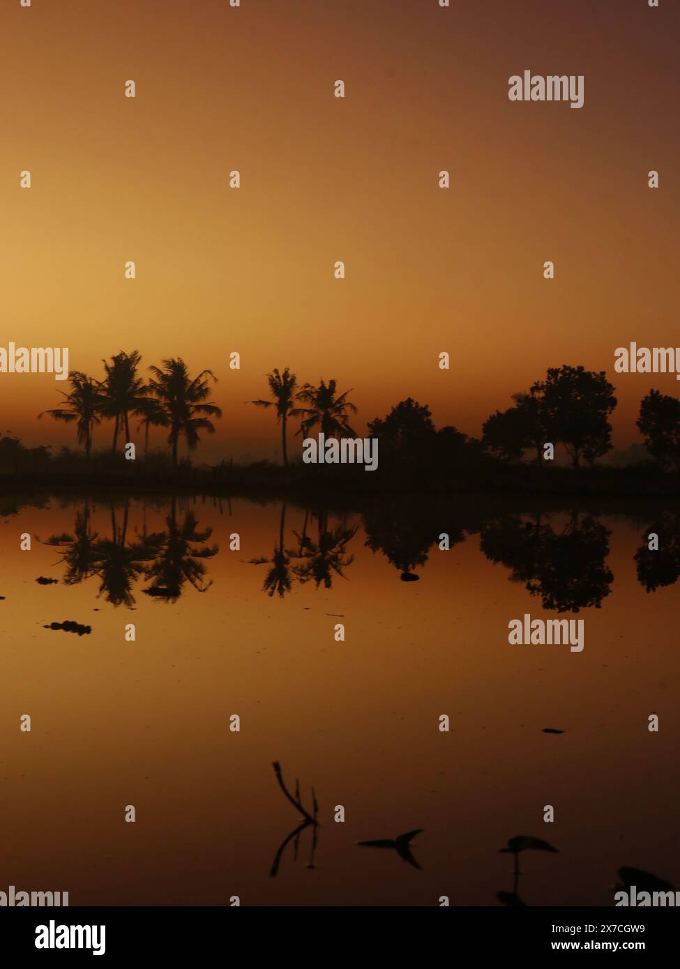 Dramatische Atmosphäre und Silhouette von Bäumen am Ufer des Sees bei Sonnenaufgang Stockfoto