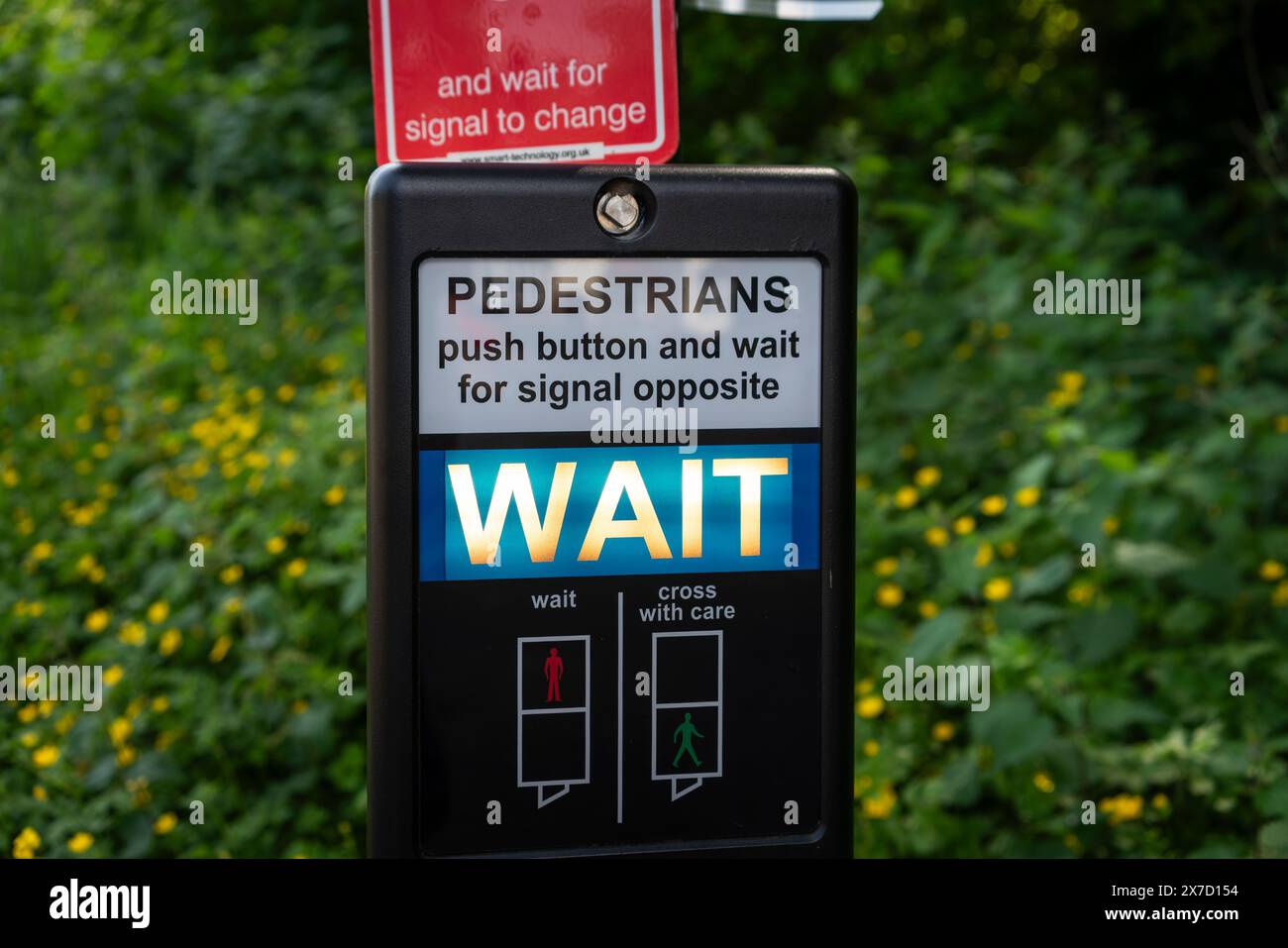 Signal, das „Warten“ an einem Fußgängerübergang in Großbritannien anzeigt Stockfoto