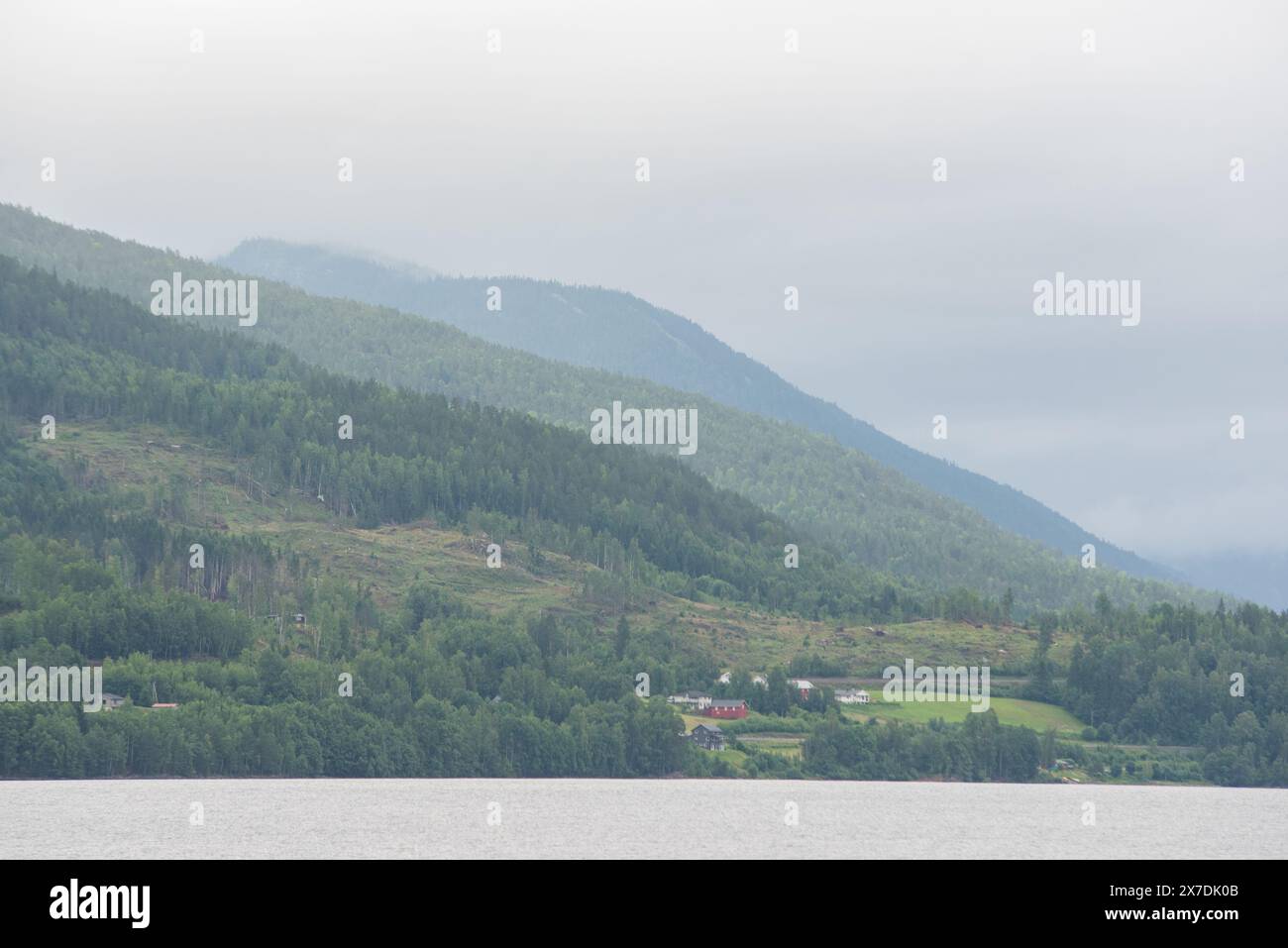 Naturblick auf die norwegischen Berge mit grünen Nadelbäumen, die am Ufer des Sees wachsen. Stockfoto