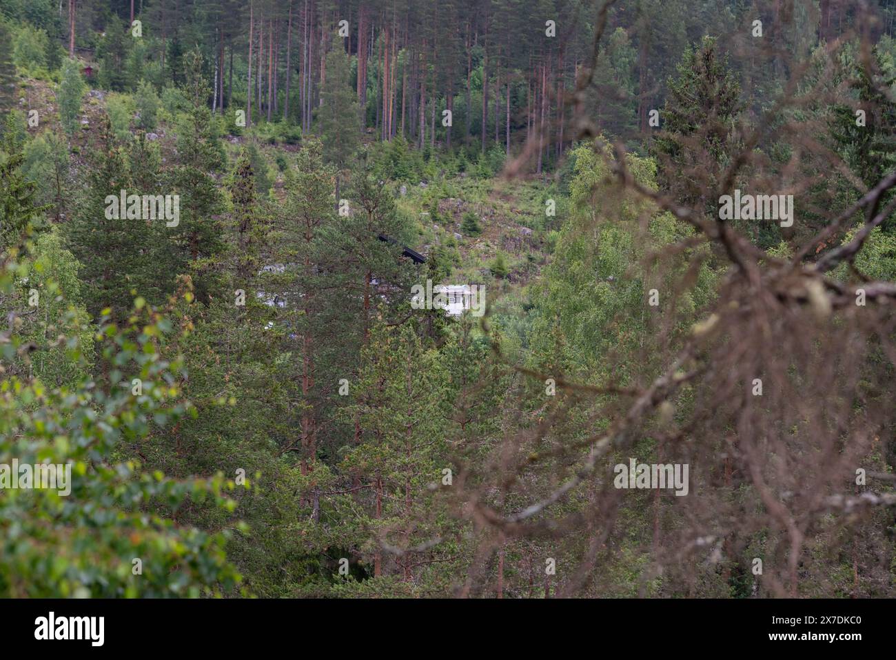 Weißes hölzernes Wohnhaus im skandinavischen Stil auf einem norwegischen Berg in einem Wald von grünen Bäumen. Stockfoto