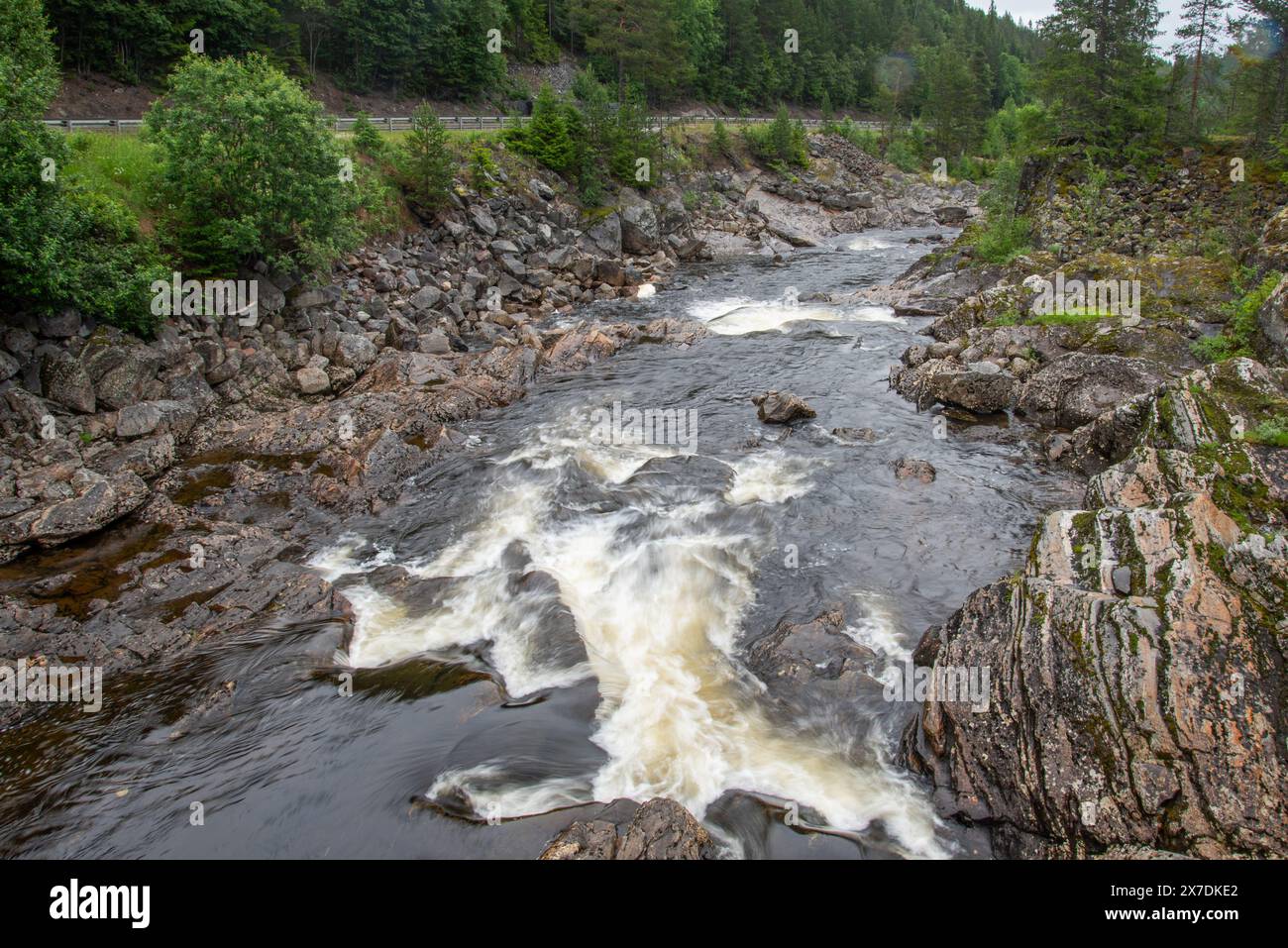 Wunderschöne Landschaft mit norwegischem felsigen Bergfluss neben der Autobahn mit Stromschnellen, wo Wasser weißen Schaum bildet. Wasserfall im Fluss. Grün Stockfoto