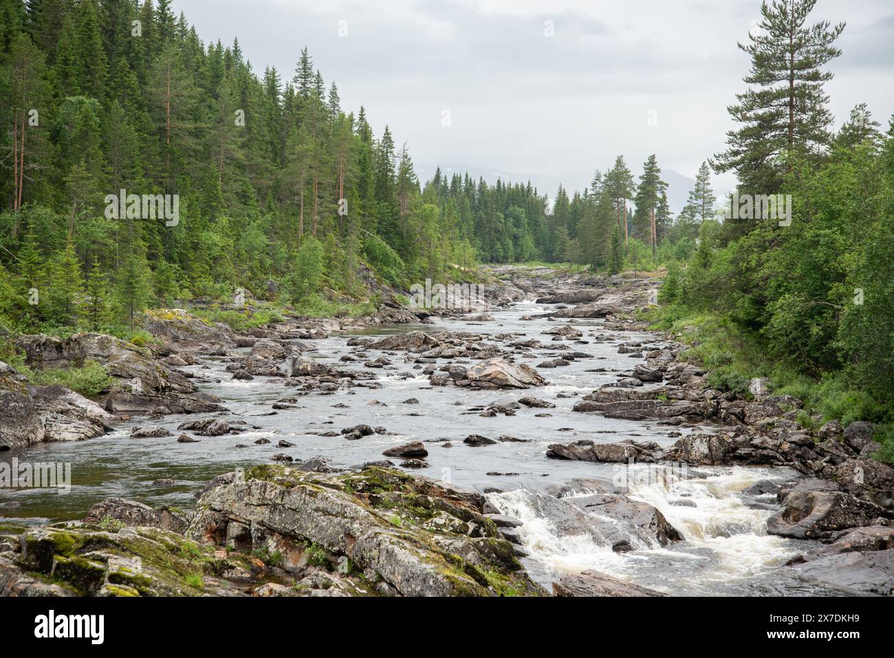 Der Norwegian River am kleinen Wasserfall Stockfoto