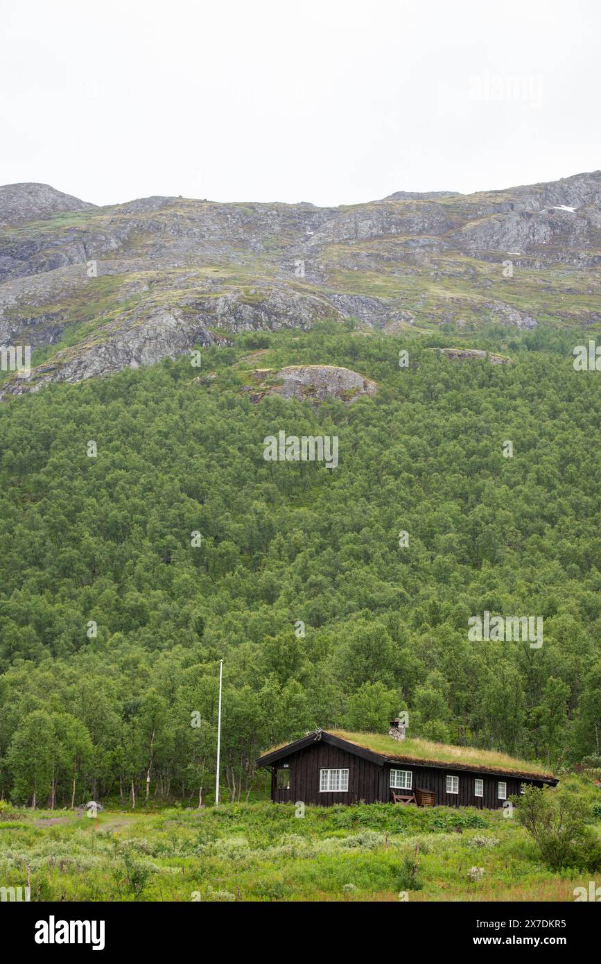 Braunes Privathaus aus Holz im skandinavischen Stil mit grünem Grasdach und weißen Holzfenstern in den norwegischen Bergen mit grünen Nadelbäumen Stockfoto