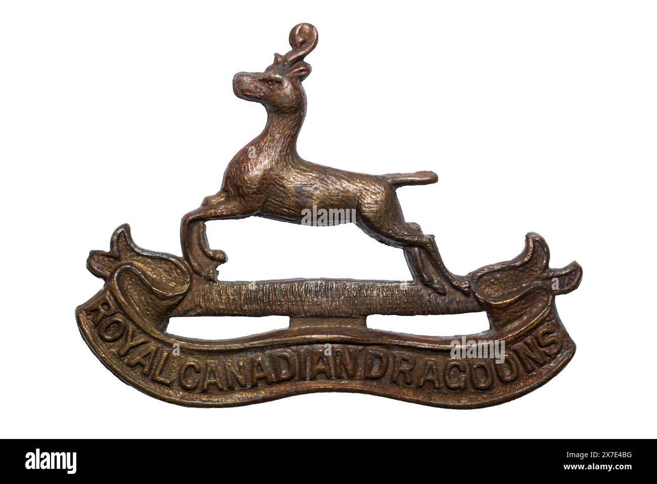 Cap-Abzeichen der Royal Canadian Dragons. Stockfoto