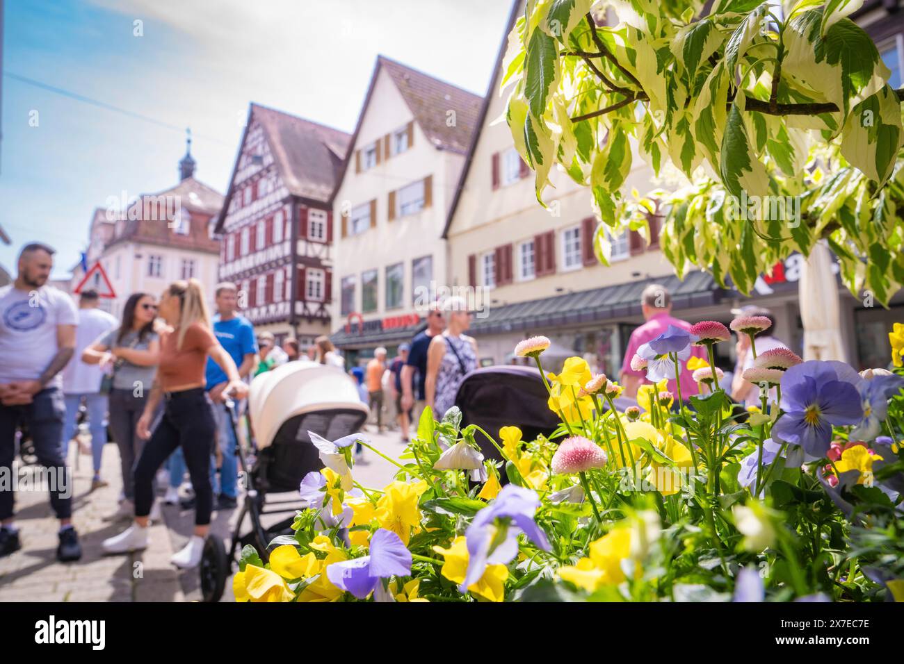 Stadtszene mit Blumen und Menschen, Kinderwagen und Fachwerkhäusern an einem sonnigen Frühlingstag, Frühling, Nagold, Schwarzwald, Deutschland Stockfoto