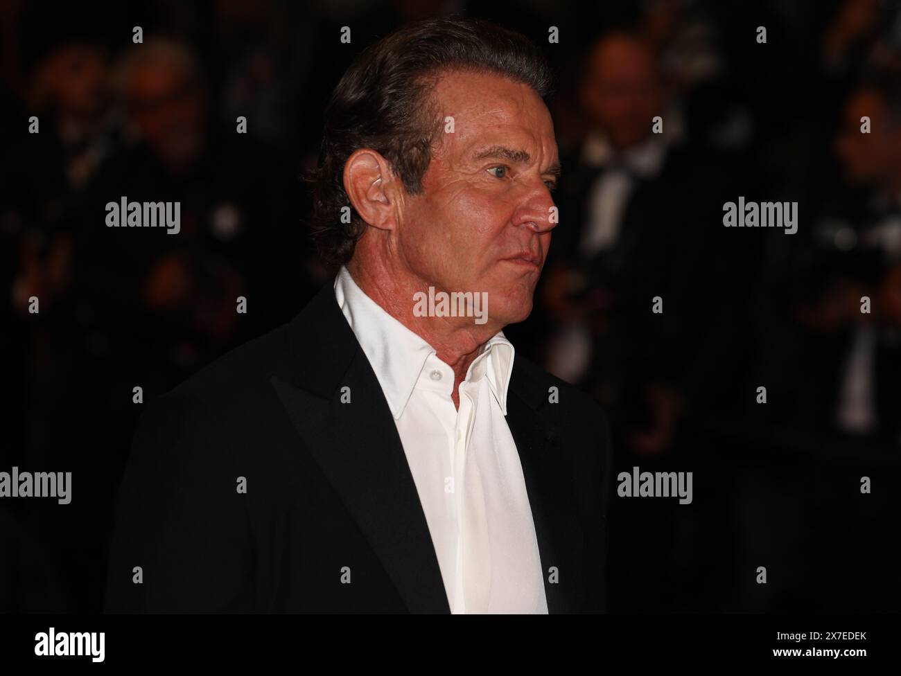 19. Mai 2024, Cannes, Cote D'azur, Frankreich: DENNIS QUAID geht auf dem roten Teppich vor der Premiere von „The Substance“ beim 77. Jährlichen Filmfestival von Cannes im Palais des Festivals in Cannes (Foto: © Mickael Chavet/ZUMA Press Wire) NUR ZUR REDAKTIONELLEN VERWENDUNG! Nicht für kommerzielle ZWECKE! Stockfoto