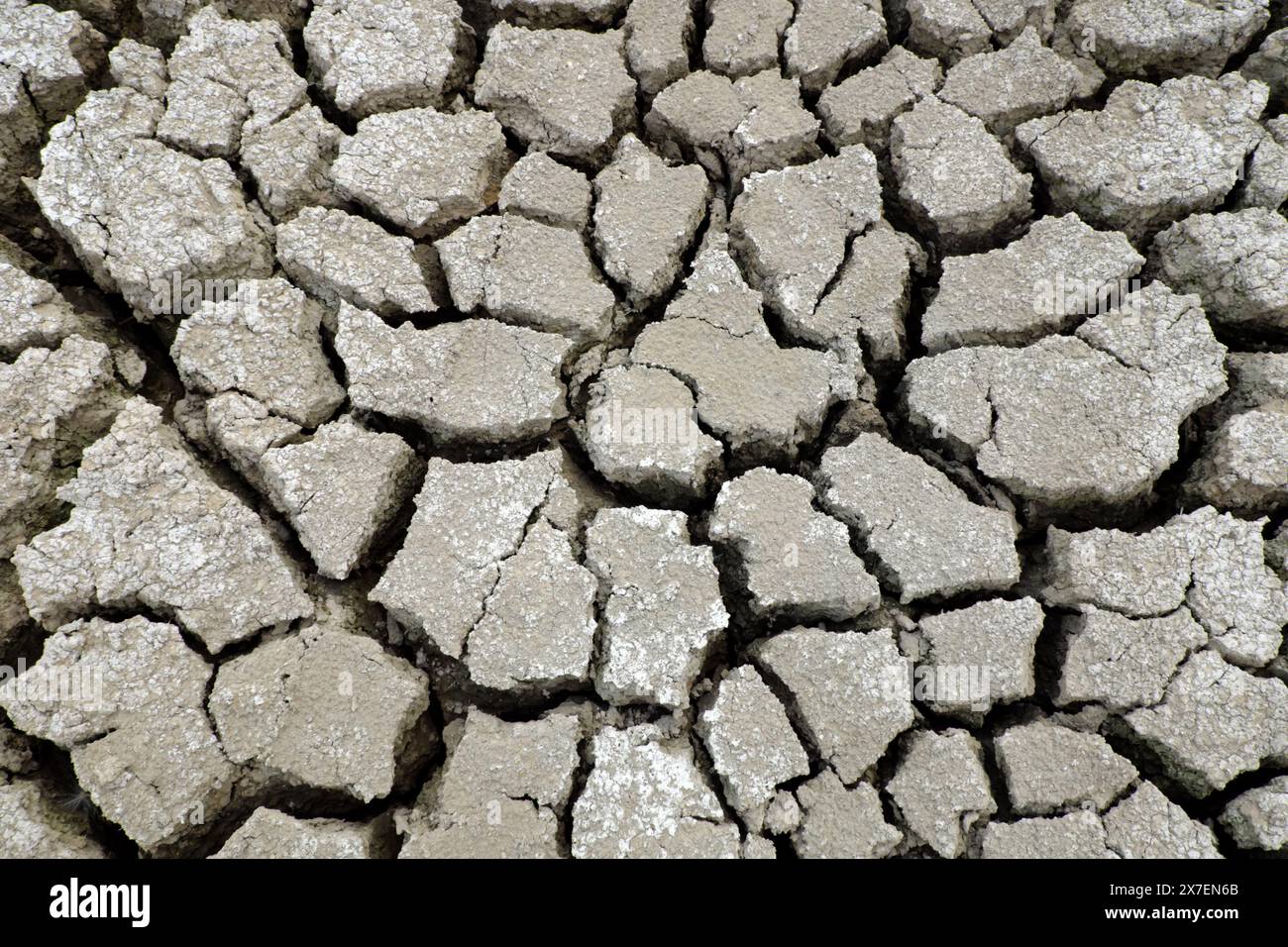 Getrocknete Bodenoberfläche, wasserlose Kanalisationsrohre nach langer heißer Jahreszeit im Mekong-Delta, Vietnam, Klimawandel und El nino machen das harte Wetter der Welt Stockfoto