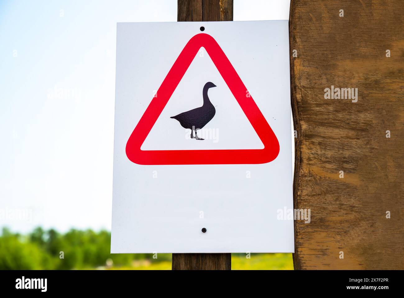 Das Füttern von Tieren mit Verbotszeichen ist verboten Stockfoto