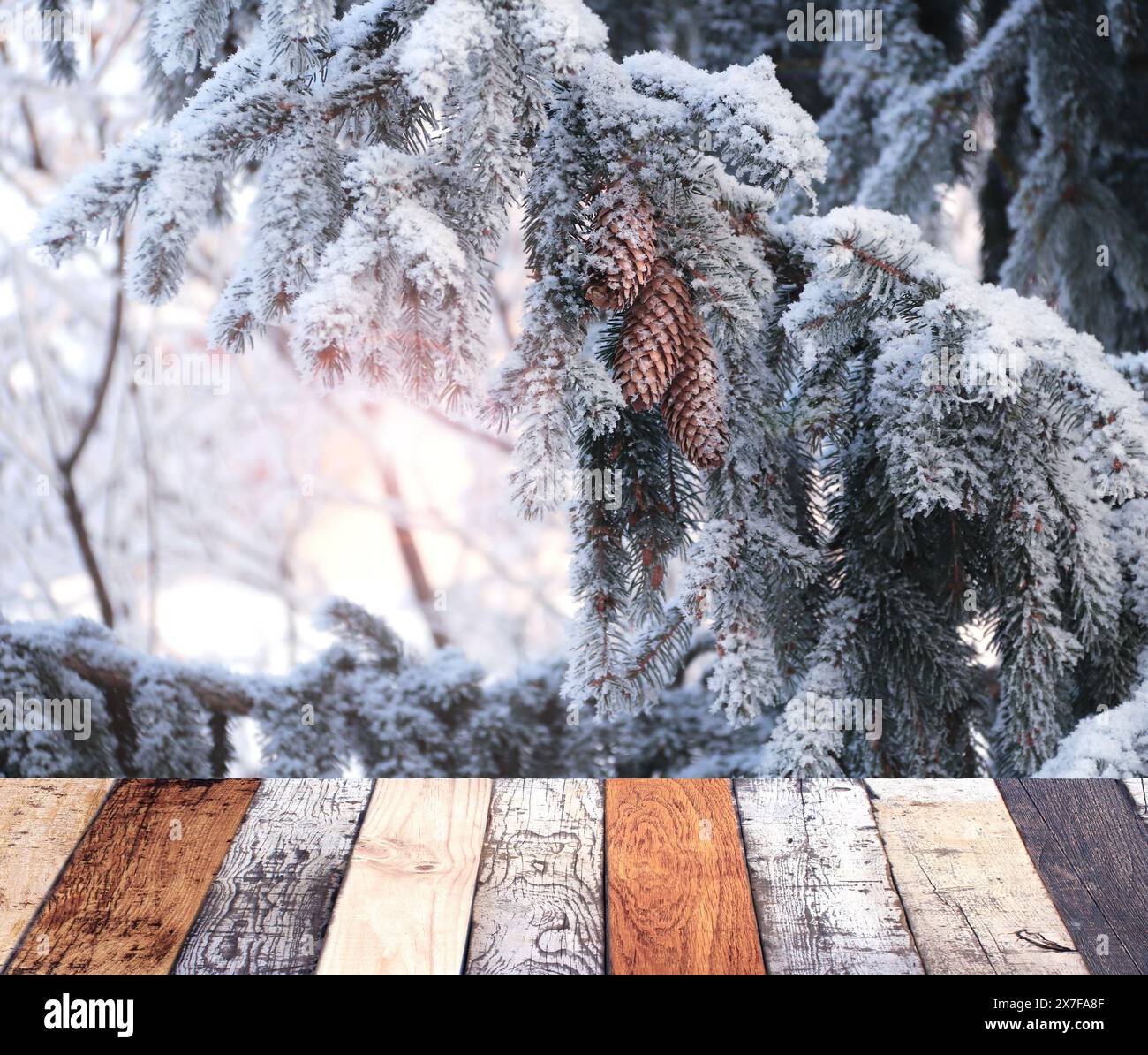 Weihnachtshintergrund. Leere Holztischplatte vor sonnigem Winterwald. Holzterrassenboden und Kiefernzweig mit Tannenzapfen bedeckt mit Fro Stockfoto