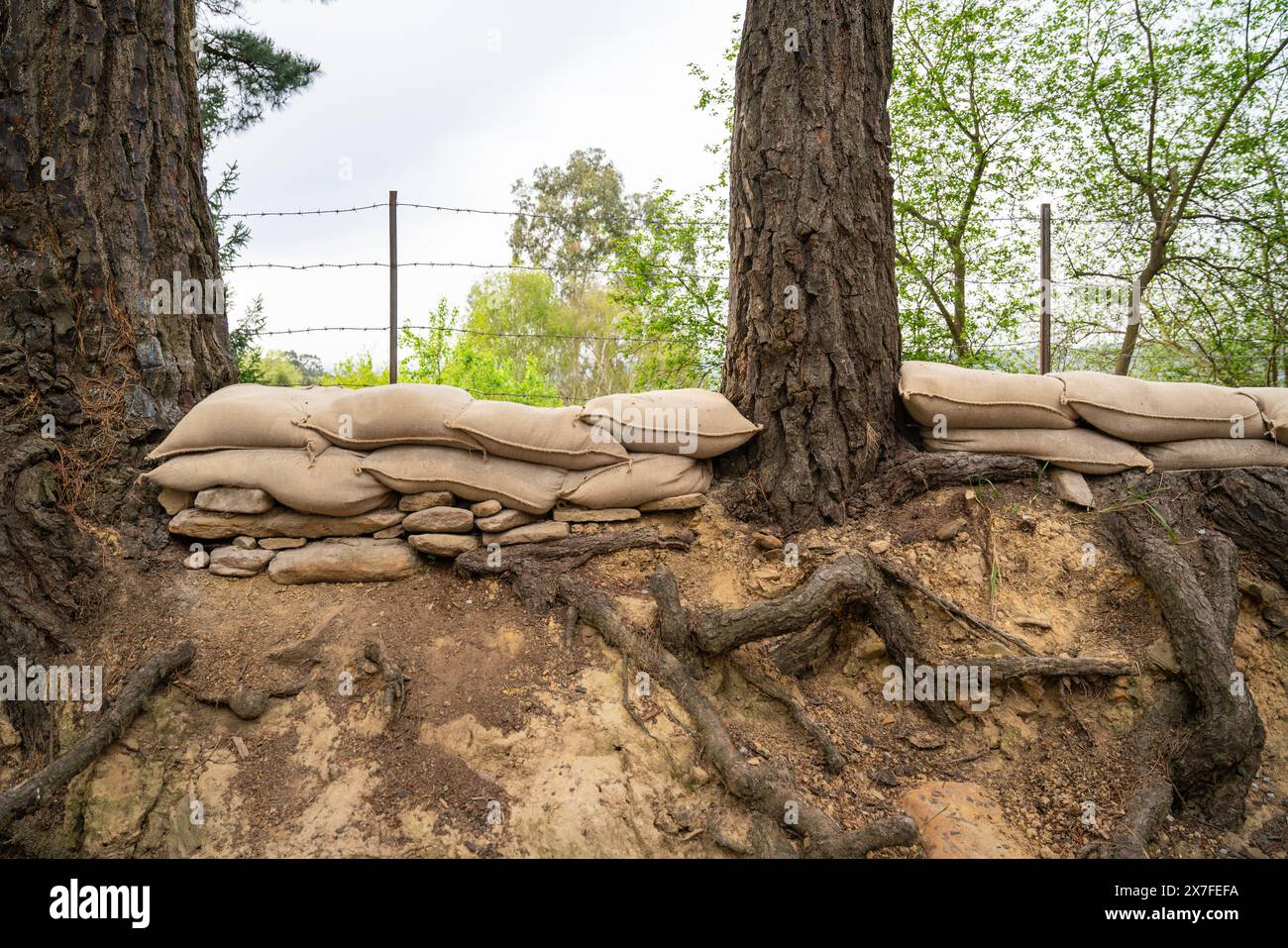 Rekonstruktion einer defensiven Position. Bilbaos Eiserne Ring, Festung um Bilbao. Verstärkter Graben. Spanischer Bürgerkrieg. Stockfoto