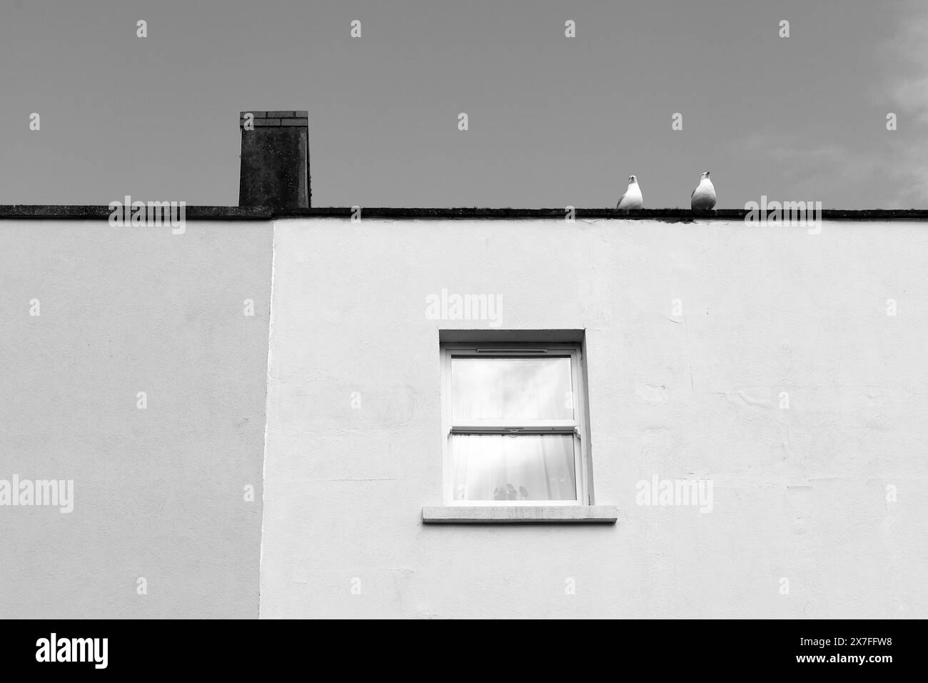 Möwen auf dem Dach der geometrischen Fassade in England Stockfoto