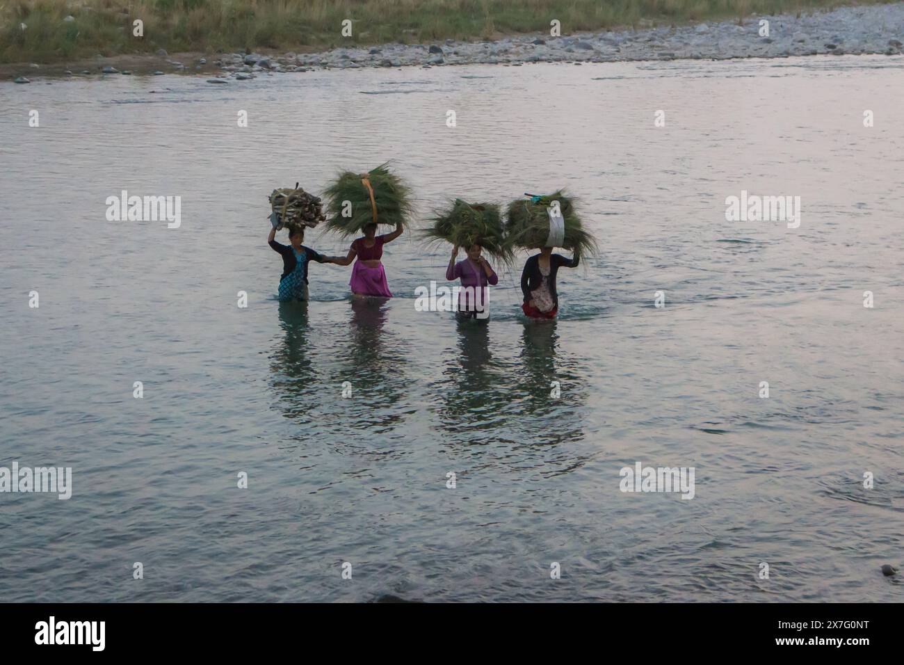 Indien, Rishikesh - 23 10 2017: Indische Frauen tragen Gras auf Kopf entlang des Flusses. Indische Kultur. Indischer ländlicher Lebensstil. Harte Frauenarbeit. Stockfoto