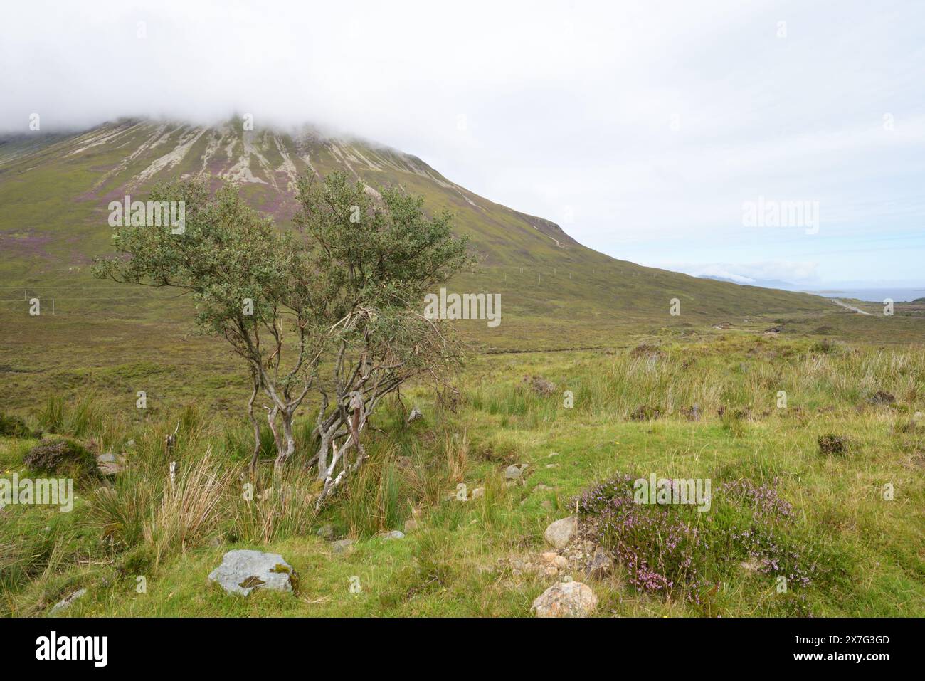 Morr von Isle of Skye Stockfoto