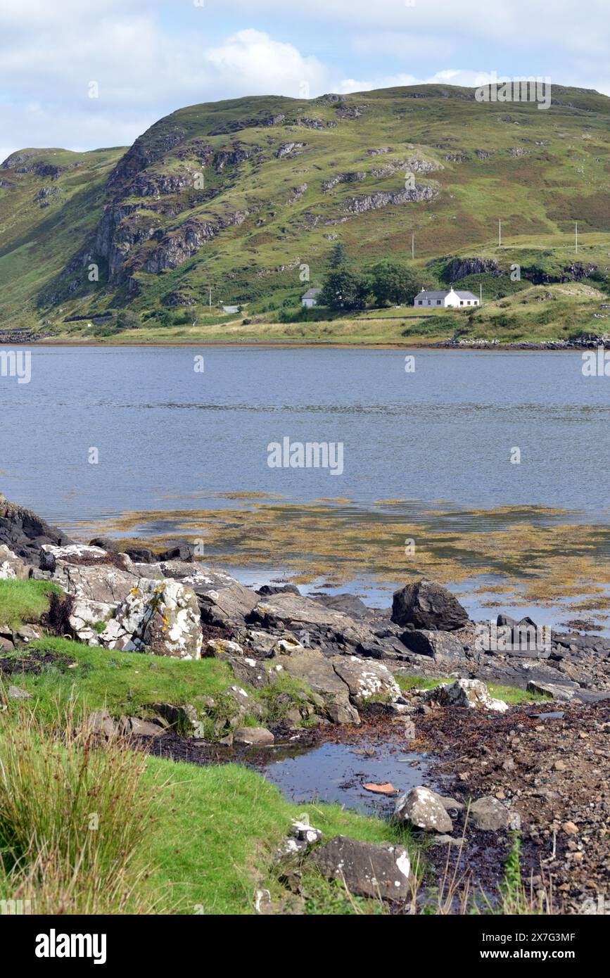 Schafzucht am Ufer Stockfoto