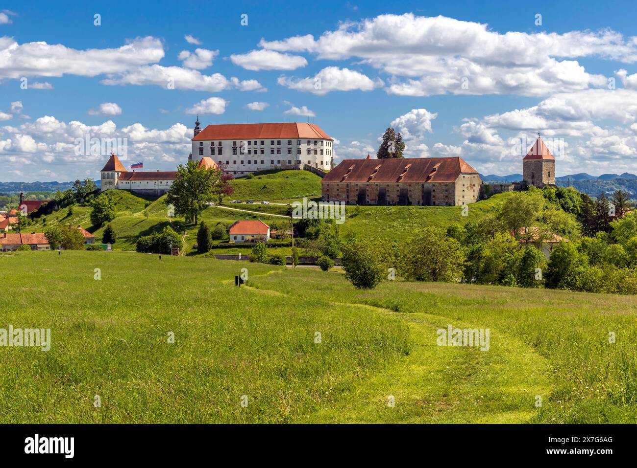 Wunderschöner Blick auf das Schloss Ptuj. Berühmtes slowenisches Reiseziel. Stockfoto
