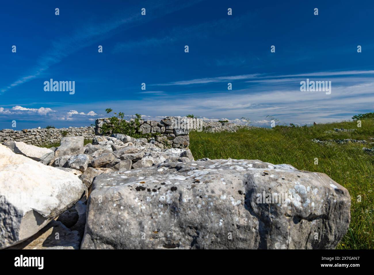 Monkodonja-Siedlung aus der Bronzezeit, archäologische Stätte von Rovinj in Kroatien Stockfoto