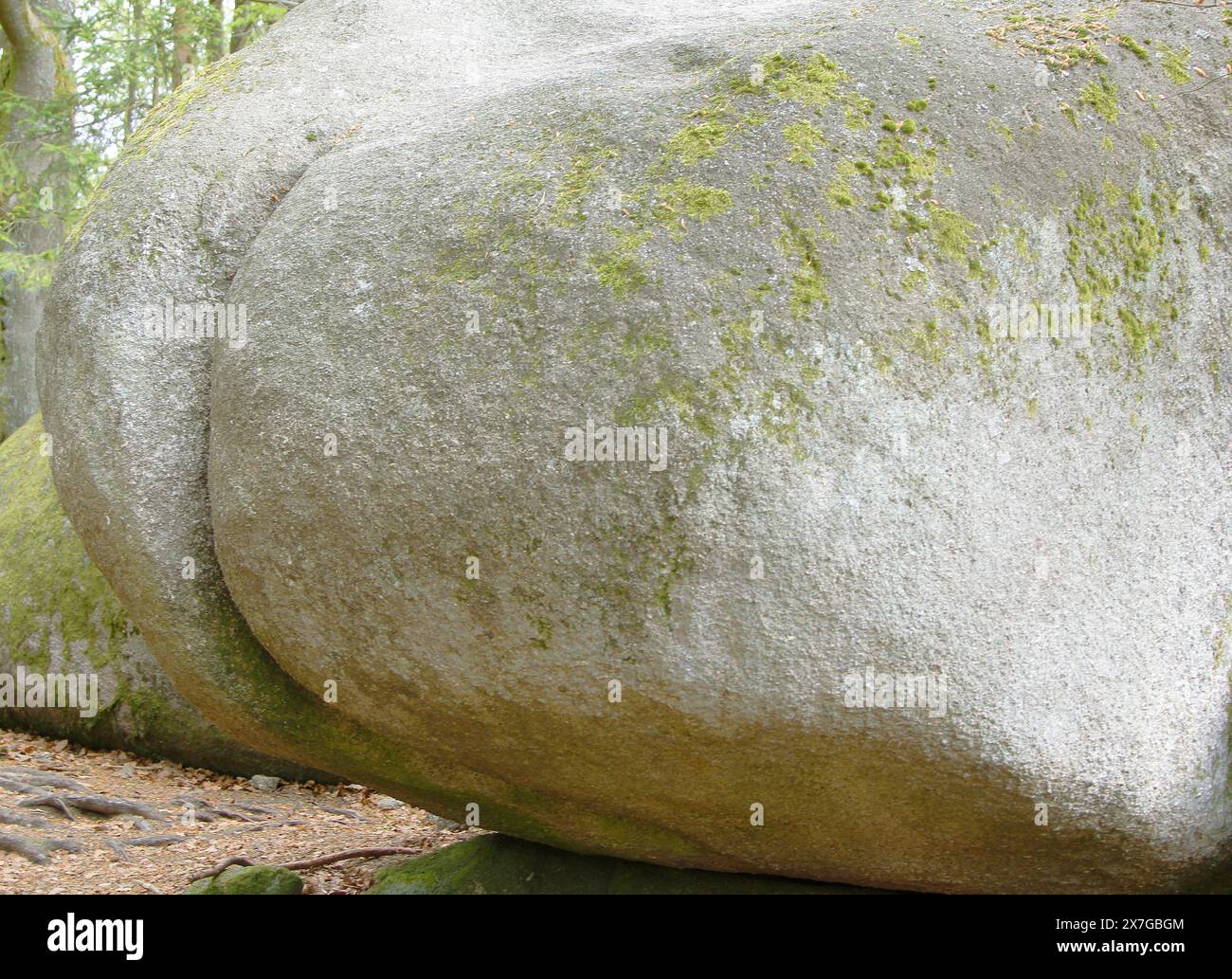 Der lustigste Felsbrocken in Tschechien - jeder Wanderer möchte ein Foto mit diesem einzigartigen Stück Granit machen. Stein, Stein kann einfach keinen anderen haben Stockfoto