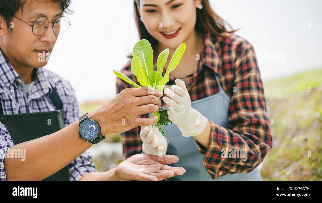 Glücklicher Landwirt kultivierte frische grüne Lebensmittelpflanze in Wasserkraftwerken, modernes Konzept der umweltfreundlichen Landwirtschaft Stockfoto