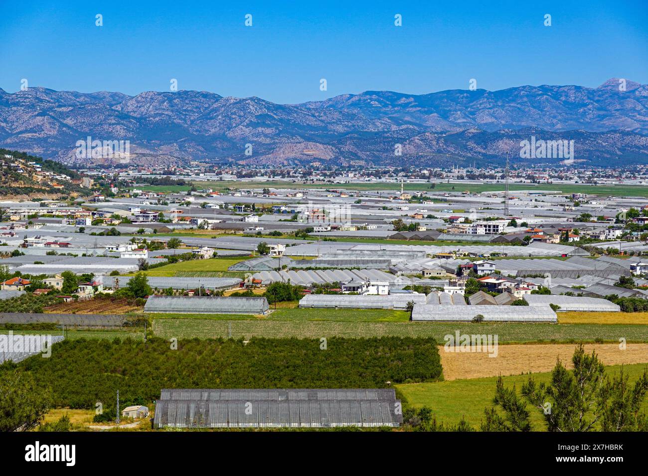 Poly-Tunnel und Kunststoffabdeckungen für die Lebensmittelproduktion in Kinik nahe dem beliebten Ferienort Kalkan in der Türkei Stockfoto