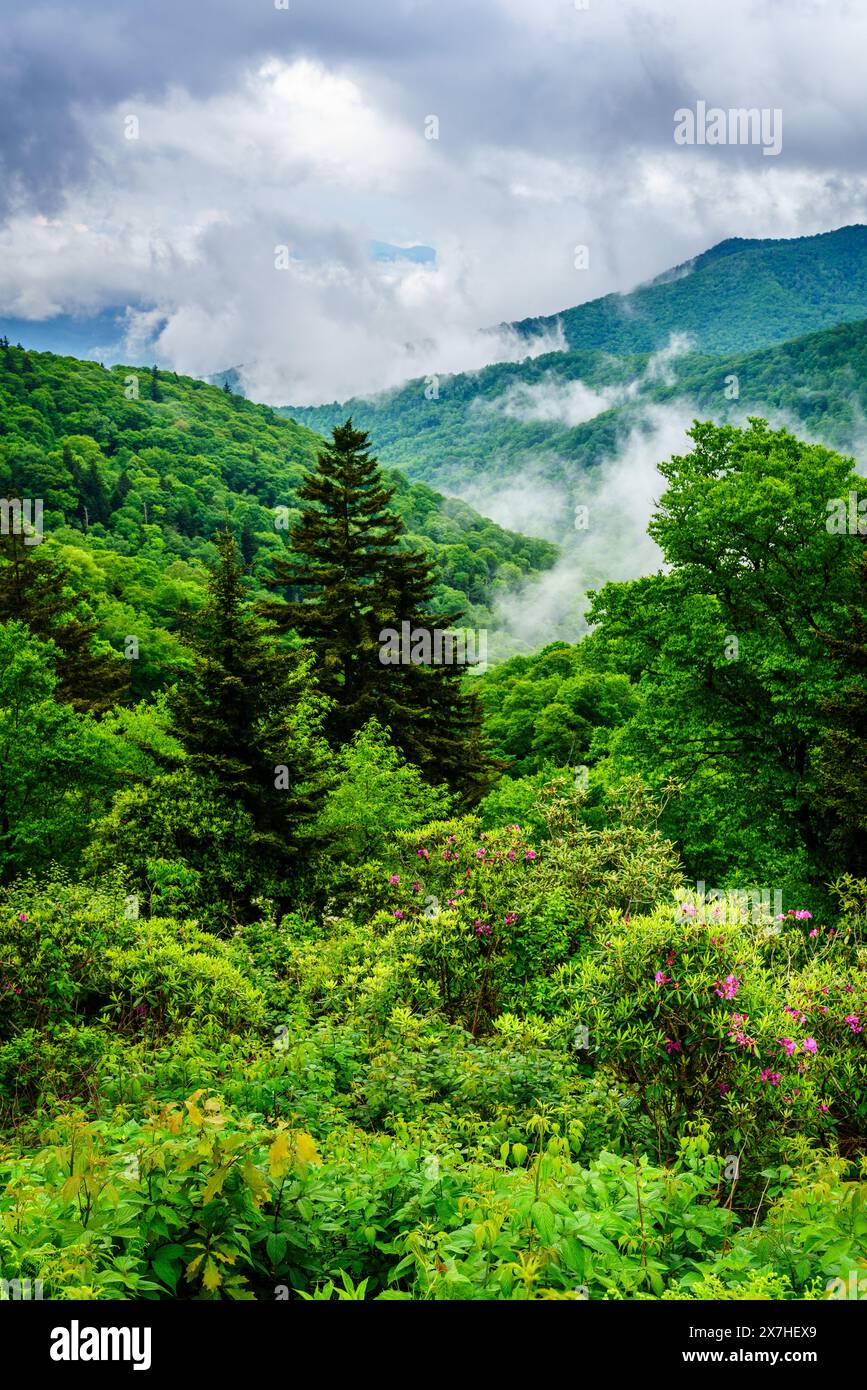 Malerischer Blick auf die Smokie Mountains vom Blue Ridge Parkway in der Nähe von Maggie Valley, North Carolina Stockfoto