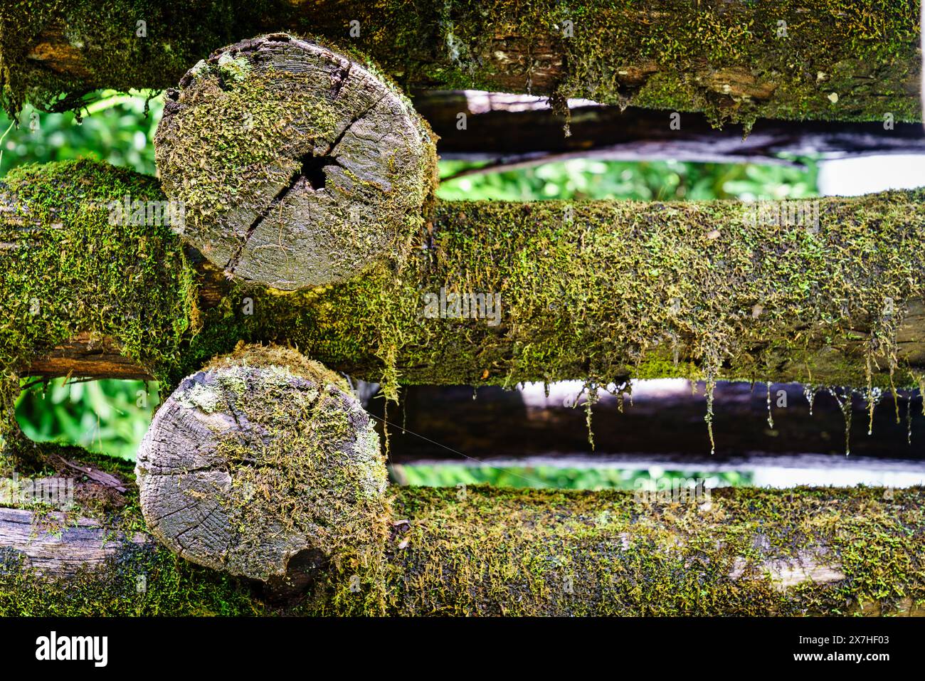 Nahaufnahme der Holztragekonstruktion der Mingus-Mühle in North Carolina Stockfoto