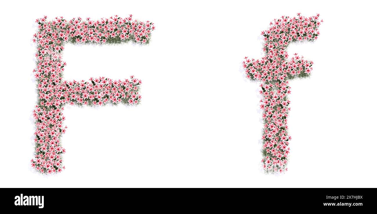 Konzept oder konzeptionelles Set von wunderschönen blühenden Liliensträußen, die die Schriftart F. 3D Illustration Metapher für Bildung, Design und Dekoration bilden, RO Stockfoto