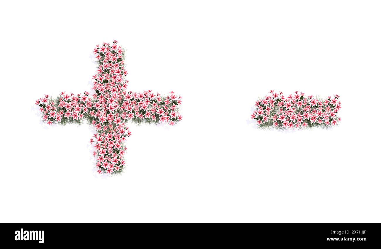 Konzept oder konzeptionelles Set von wunderschön blühenden Liliensträußen, die die + und - Zeichen bilden. 3D-Illustrationsmetapher für Bildung, Design und Dekoration Stockfoto