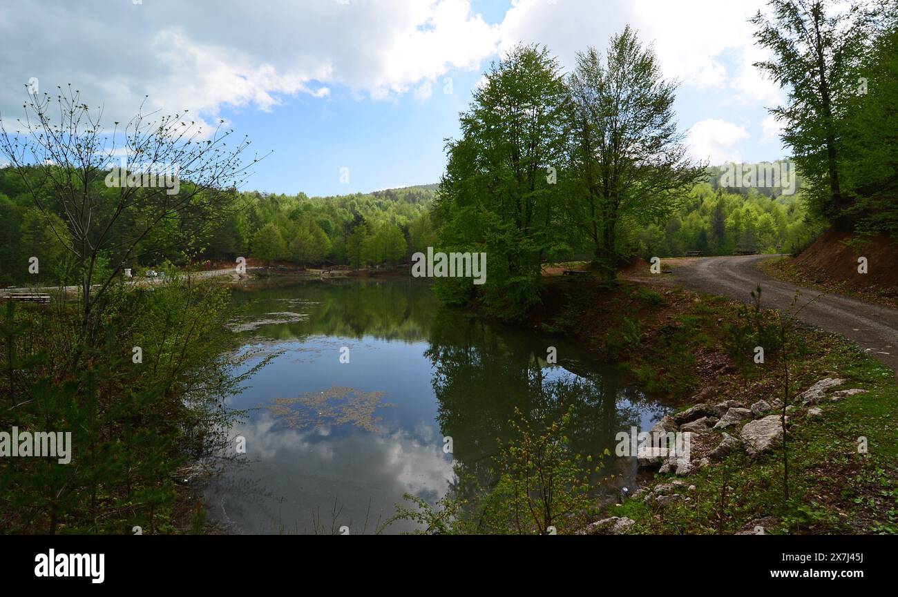 Camlipinar Lake in Duzce, Türkei Stockfoto