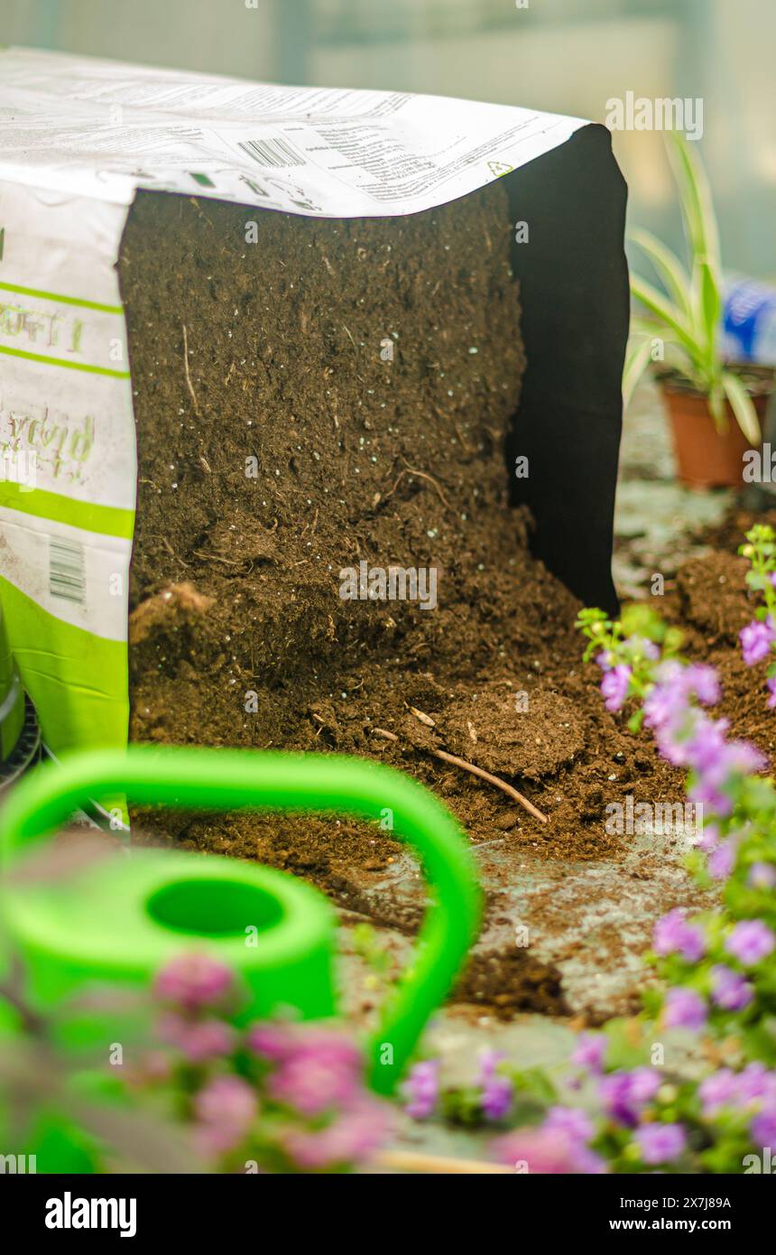 Bodenhaufen in einer Gießkanne aus Kunststoff und Grün. Gartenbild. Hochwertige Fotos Stockfoto