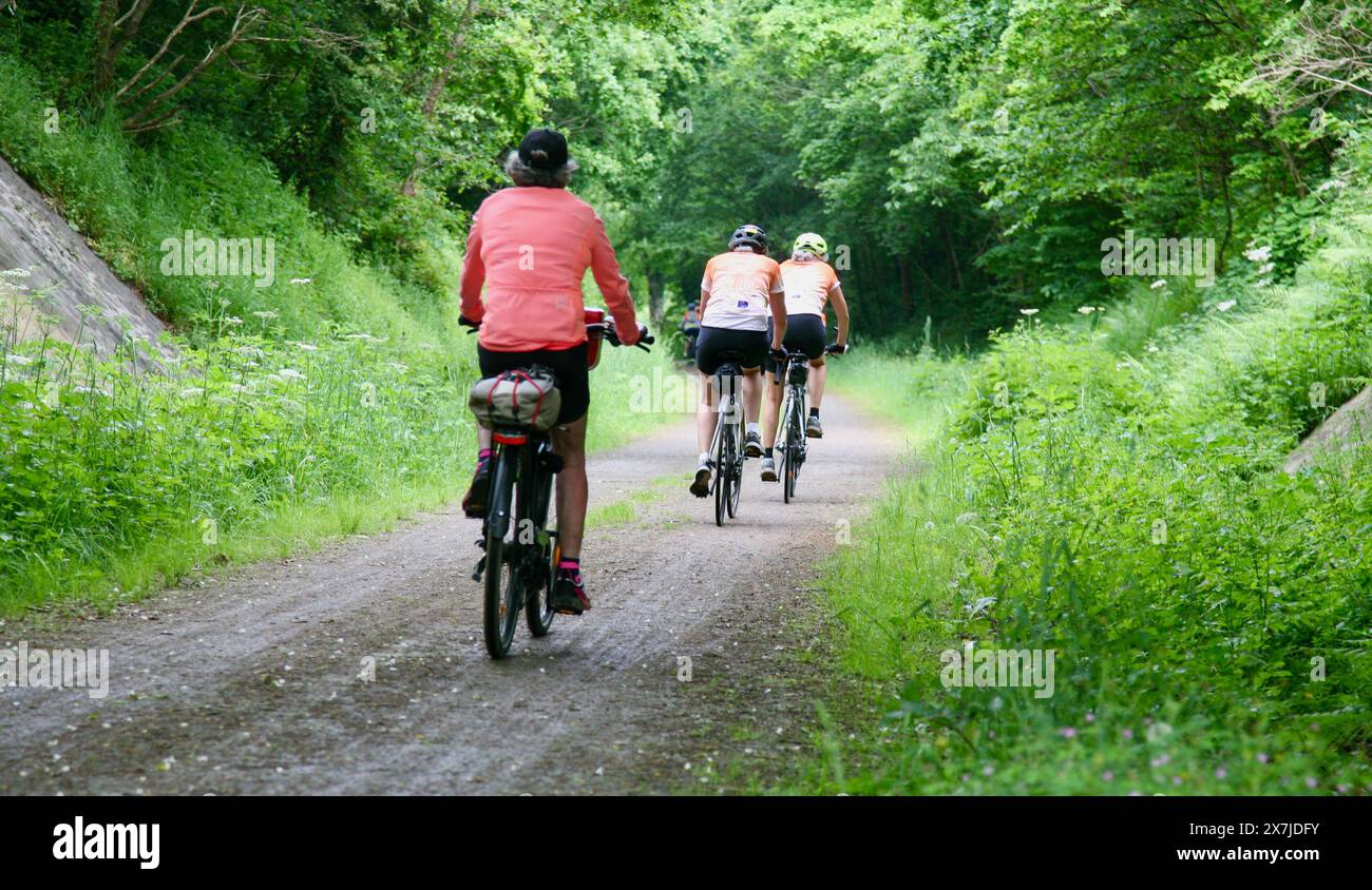 Radfahrer auf der Veloszenischen Radroute Saint-Cyr-du-Bailleul, Manche, Normandie, Nordwestfrankreich, Europa Stockfoto