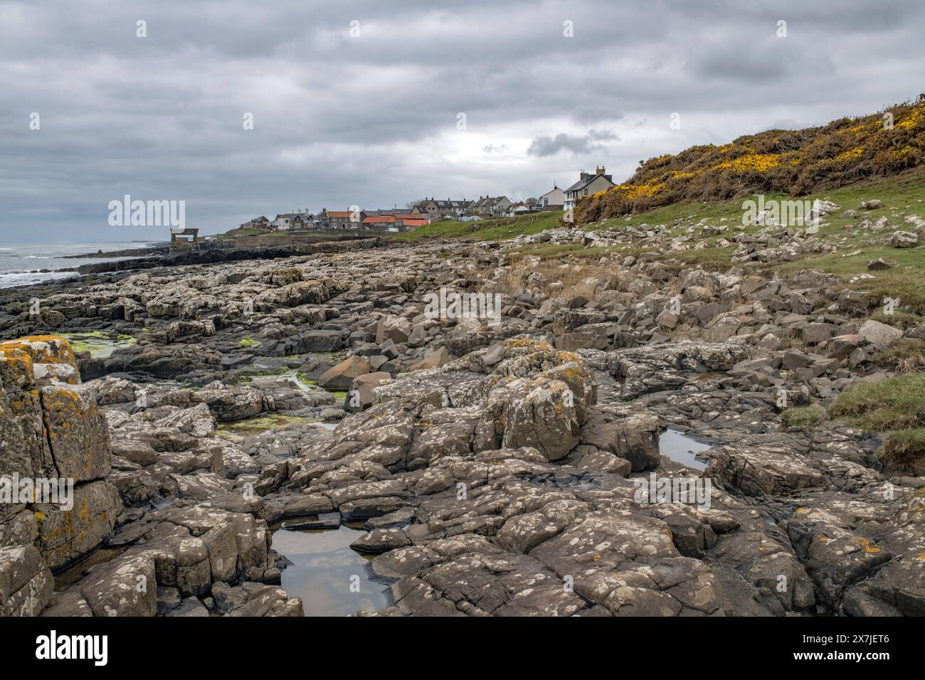 Blick auf den felsigen Strand in Richtung Craster Northumberland und altes Fischerdorf Stockfoto